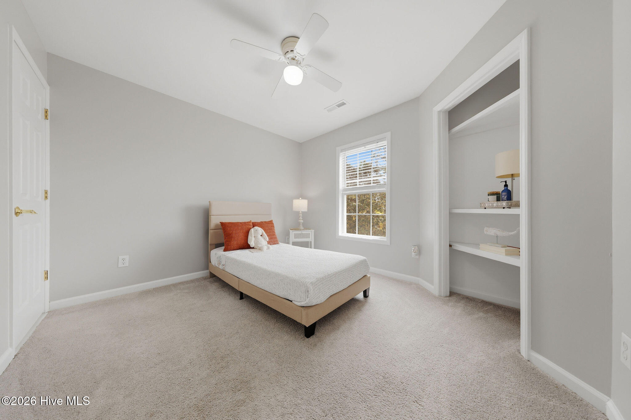 100565537 | Photo 74