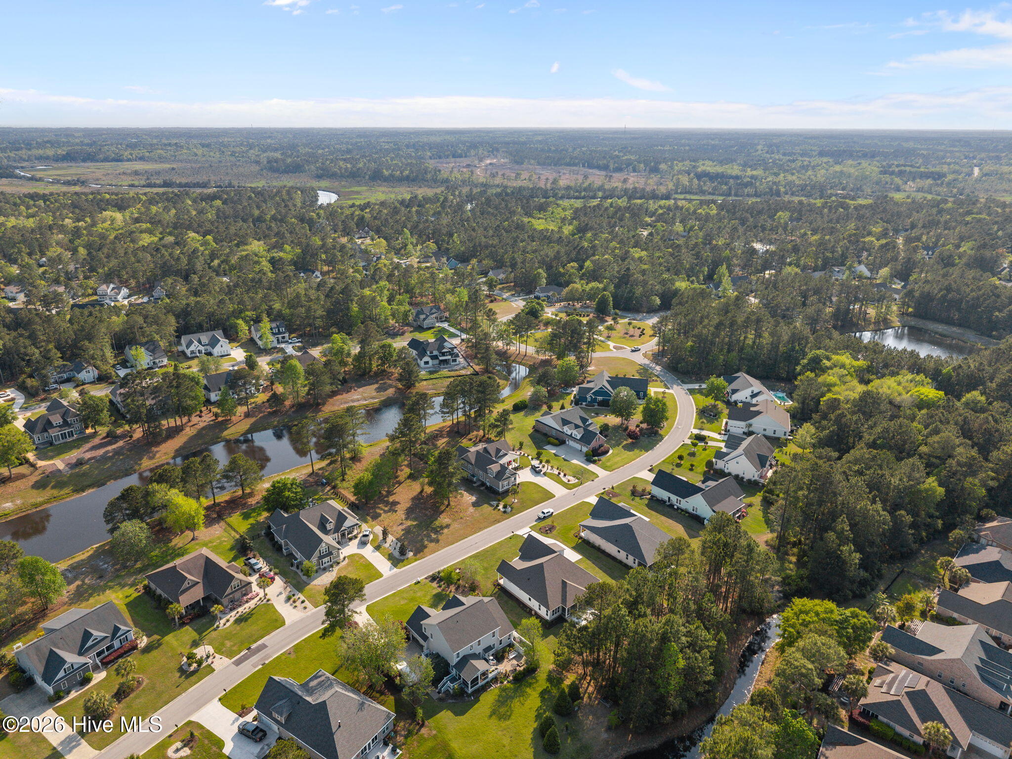 100554681 | Photo 53