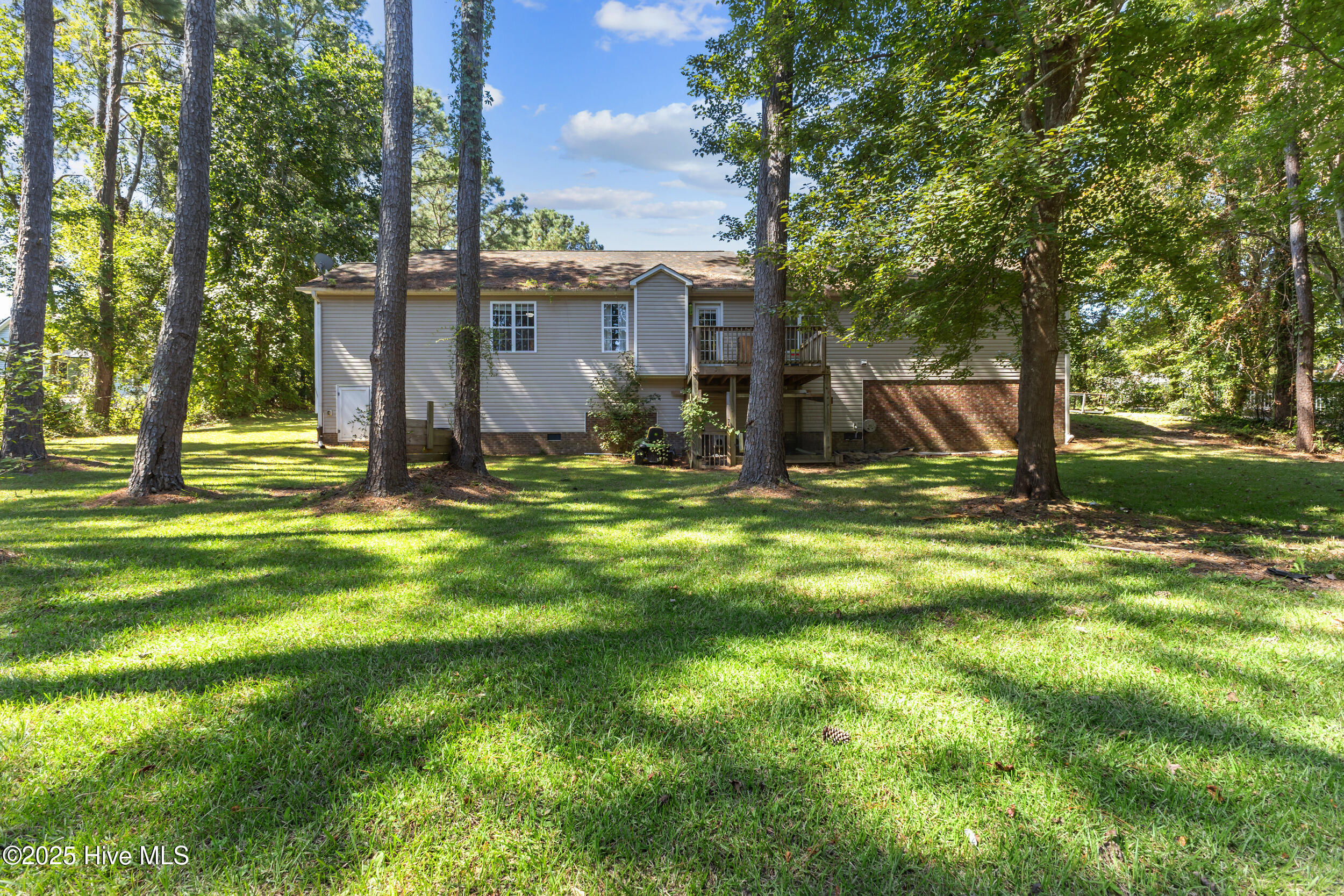 102 Lunington Mill Circle, Burgaw, NC 28425 – photo 22: Back Yard