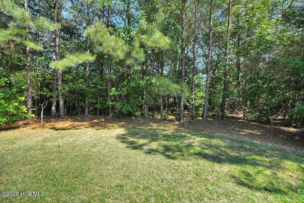 100565738 | Photo 44