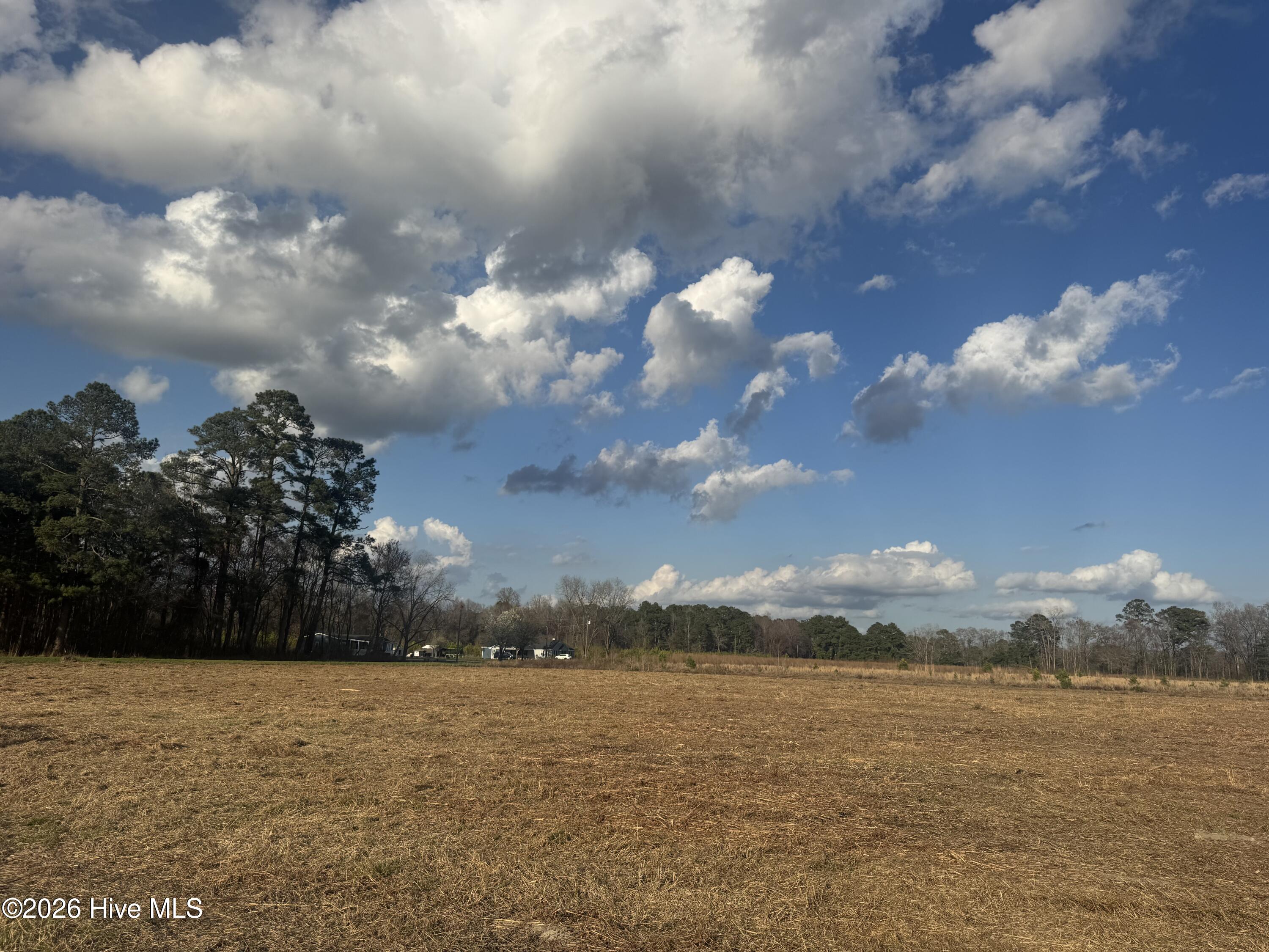 Homes for sale in Garland, NC | 0 Old Fayetteville Rd, Garland, NC 28441 | MLS# 100560570