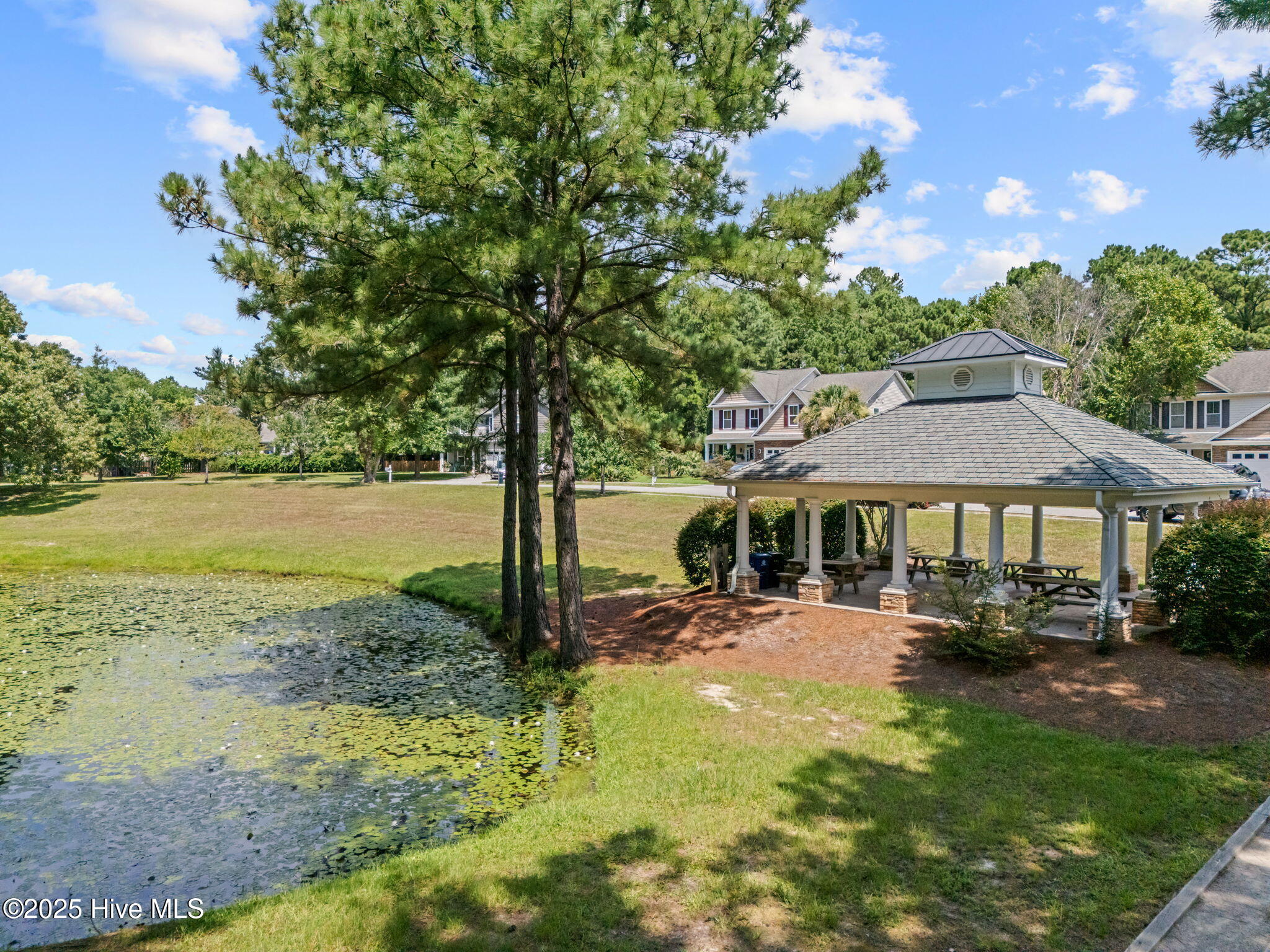 100522493 | Photo 40