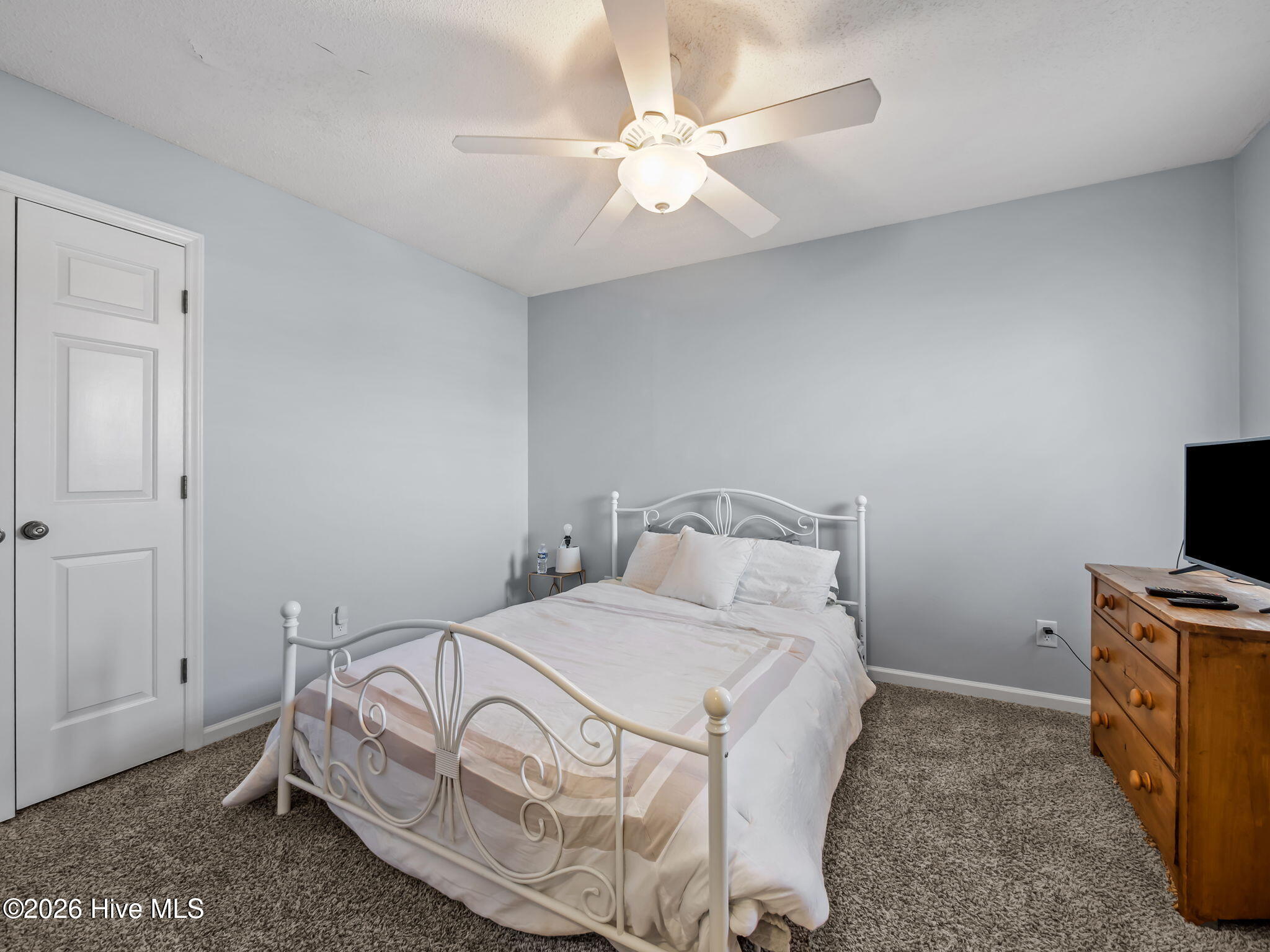 100554527 | Photo 31