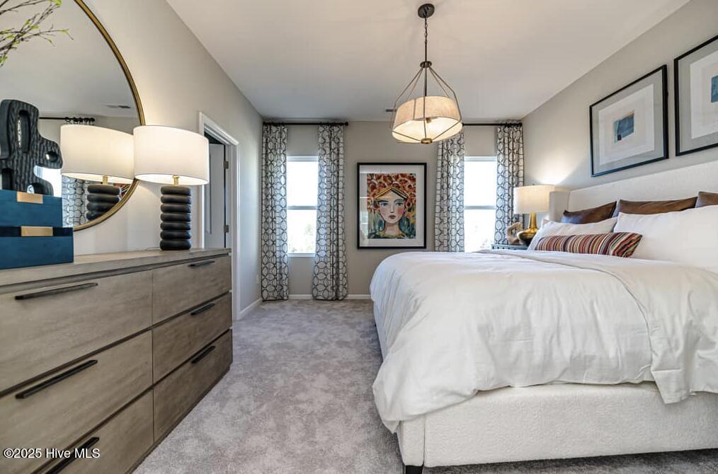 100535606 | Photo 13