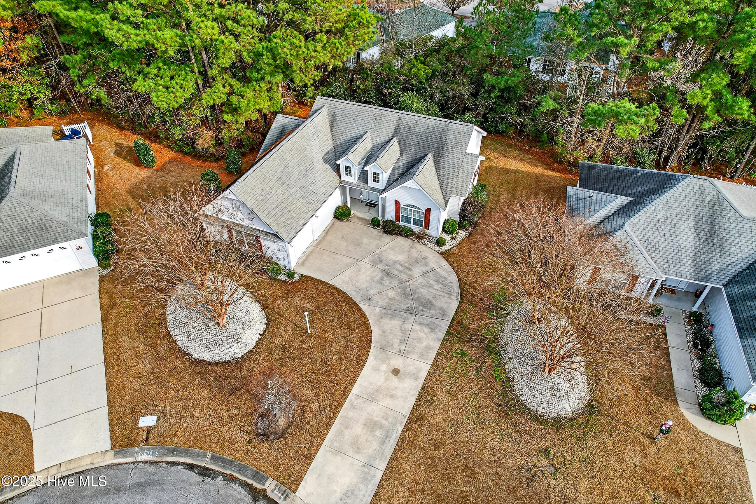 100546010 | Photo 31