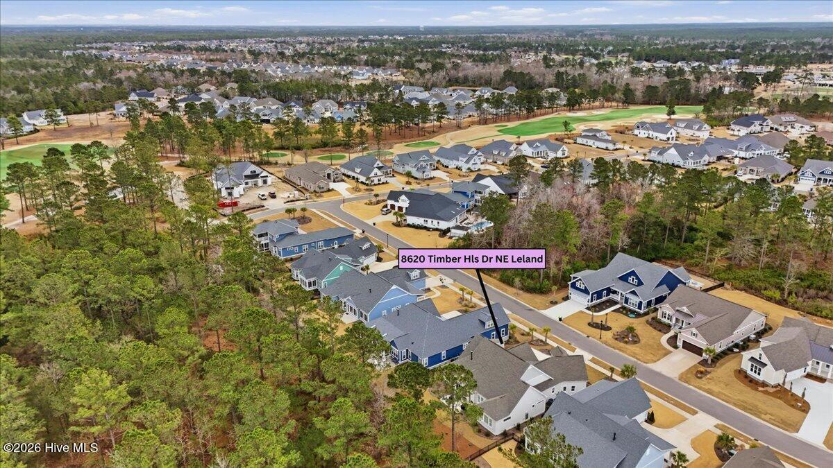 100558709 | Photo 92