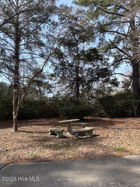 100553362 | Photo 41