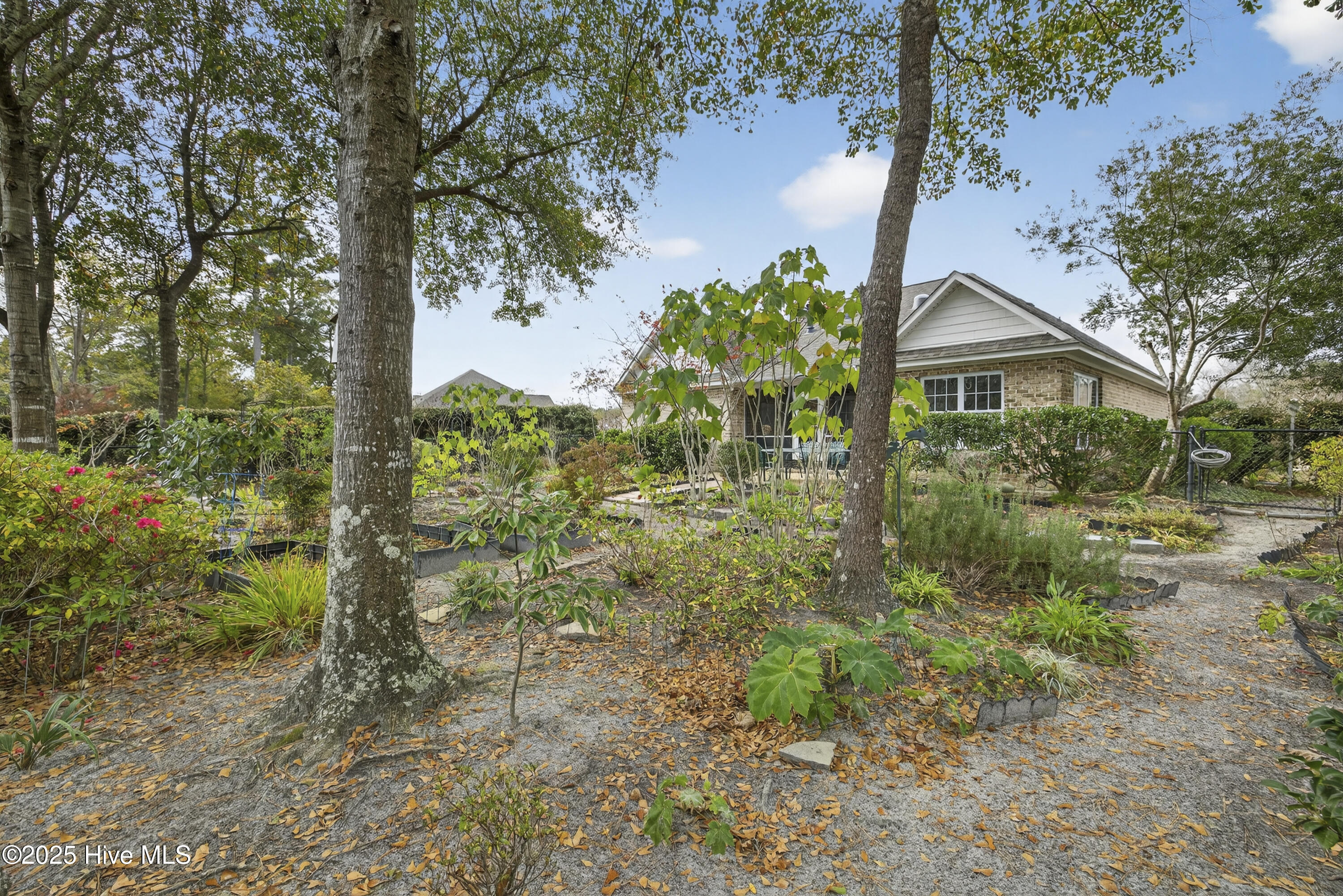 100550150 | Photo 25