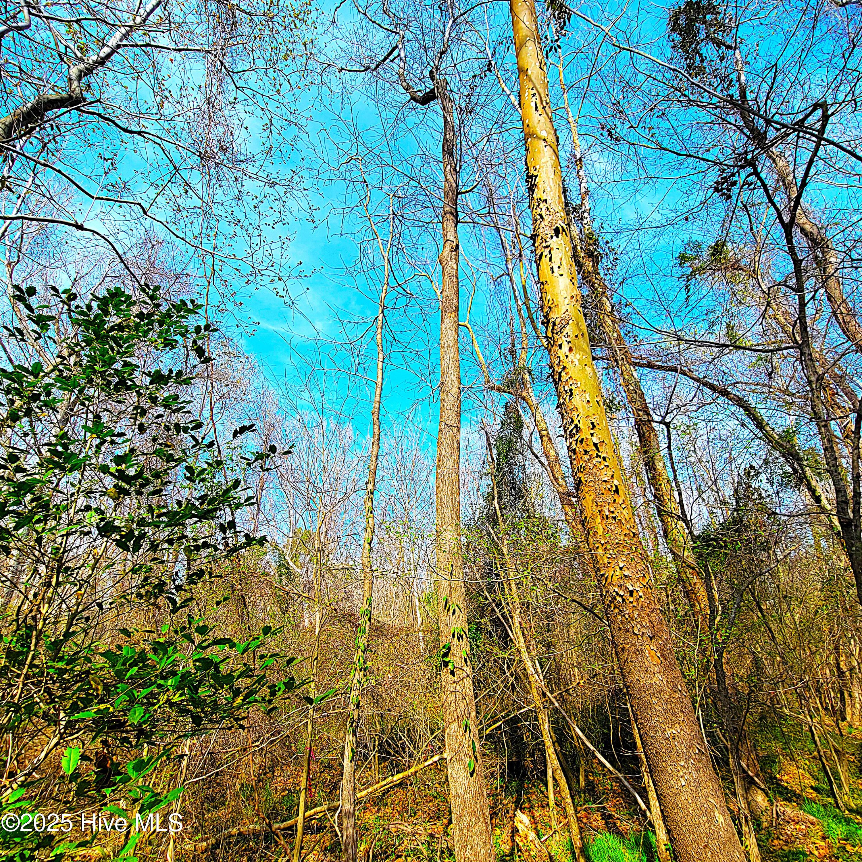 100496184 | Photo 30