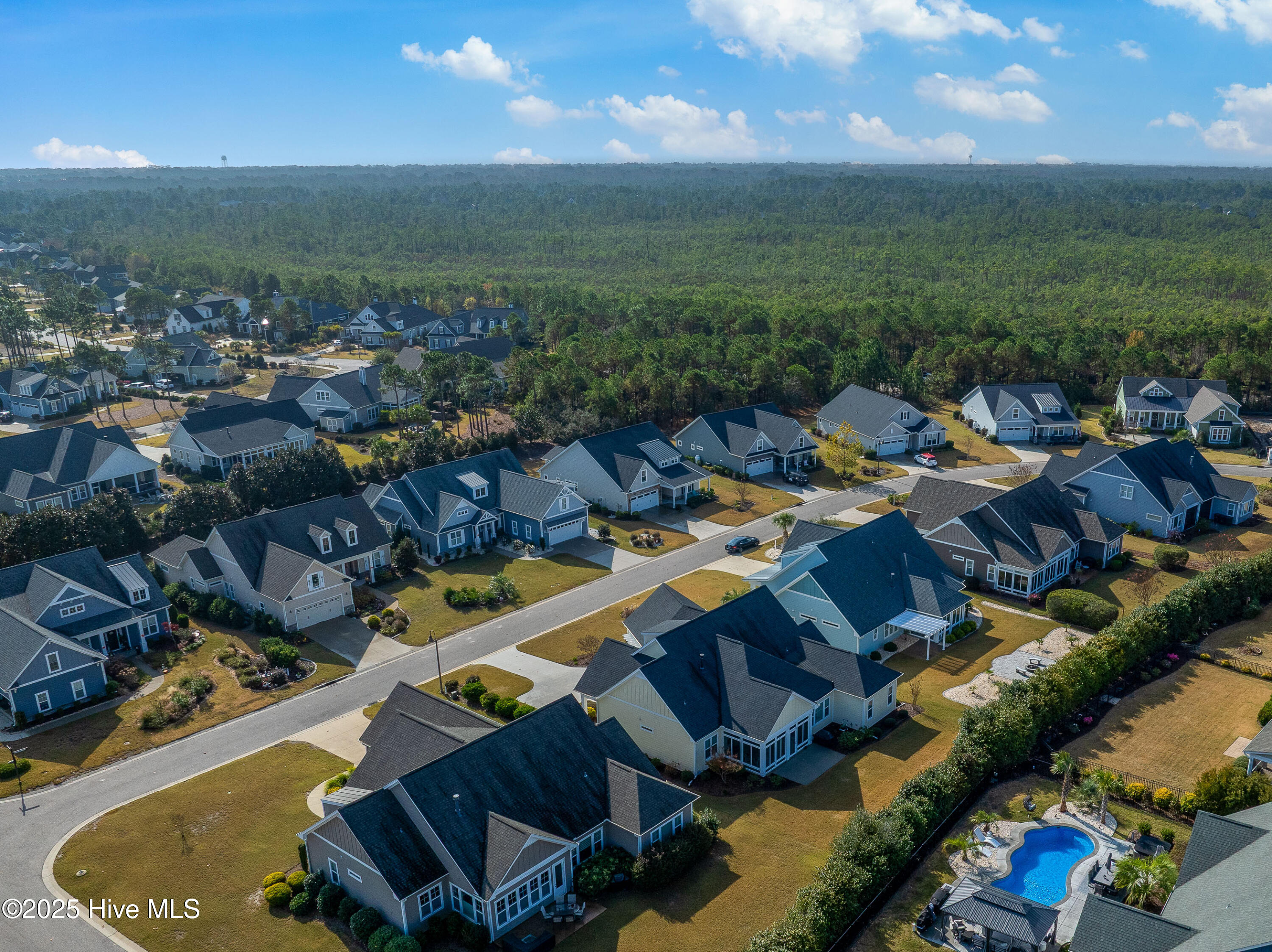 100543771 | Photo 47