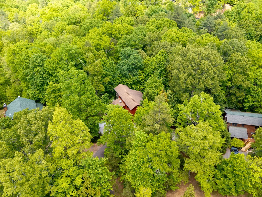 175 Scenic Highlands Drive, Marble, NC 28905 Listing Photo  42