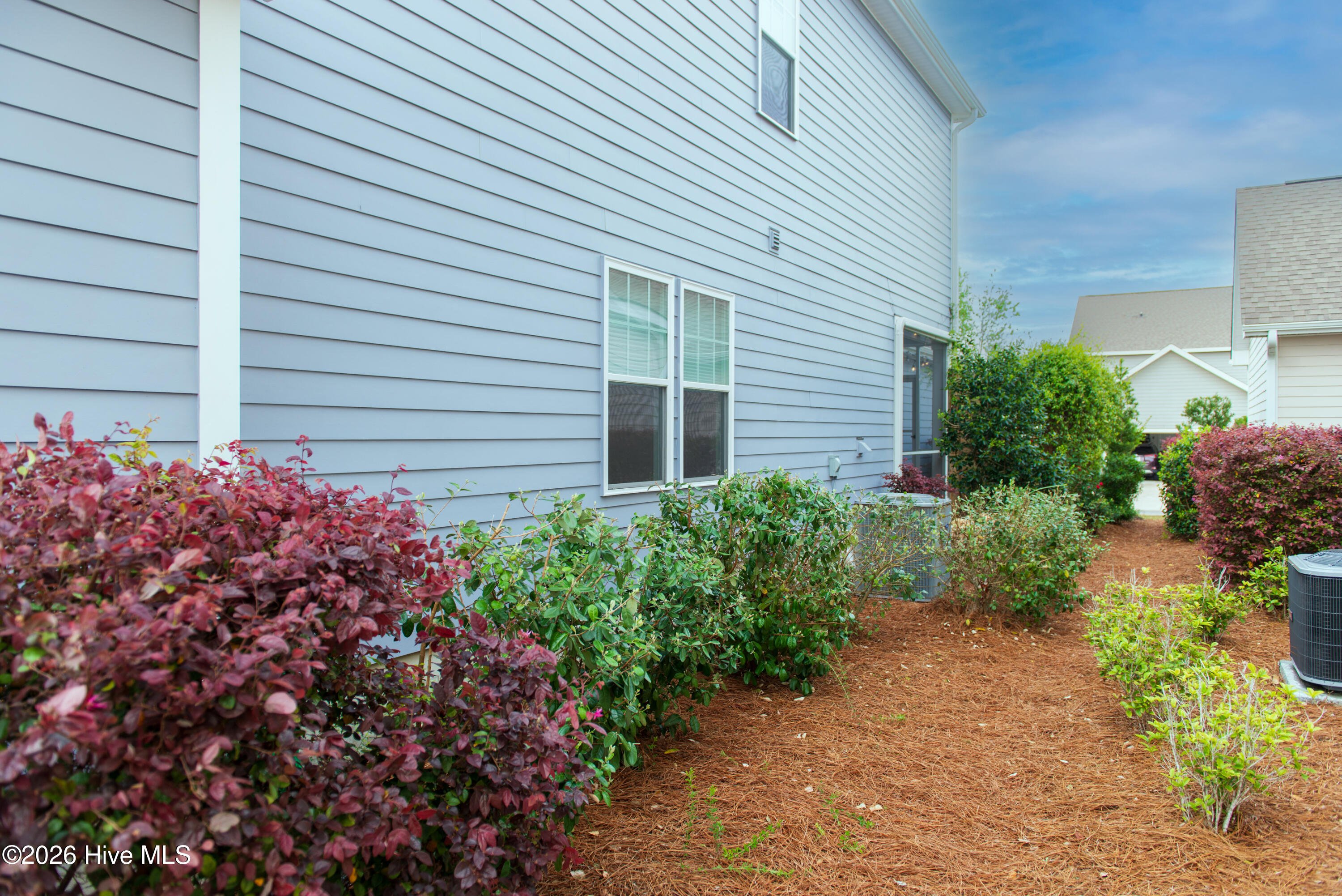 100568036 | Photo 70