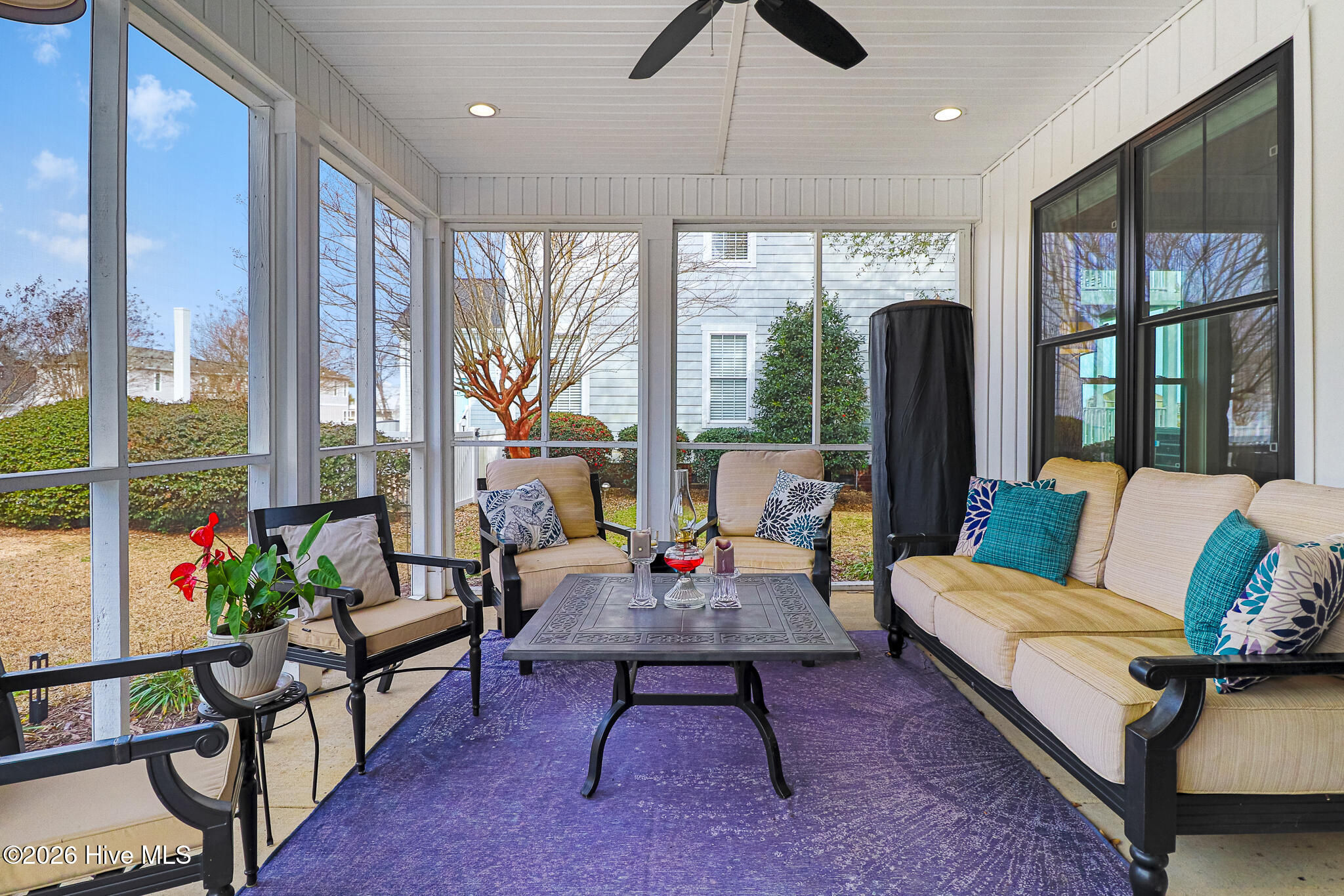 100556315 | Photo 34