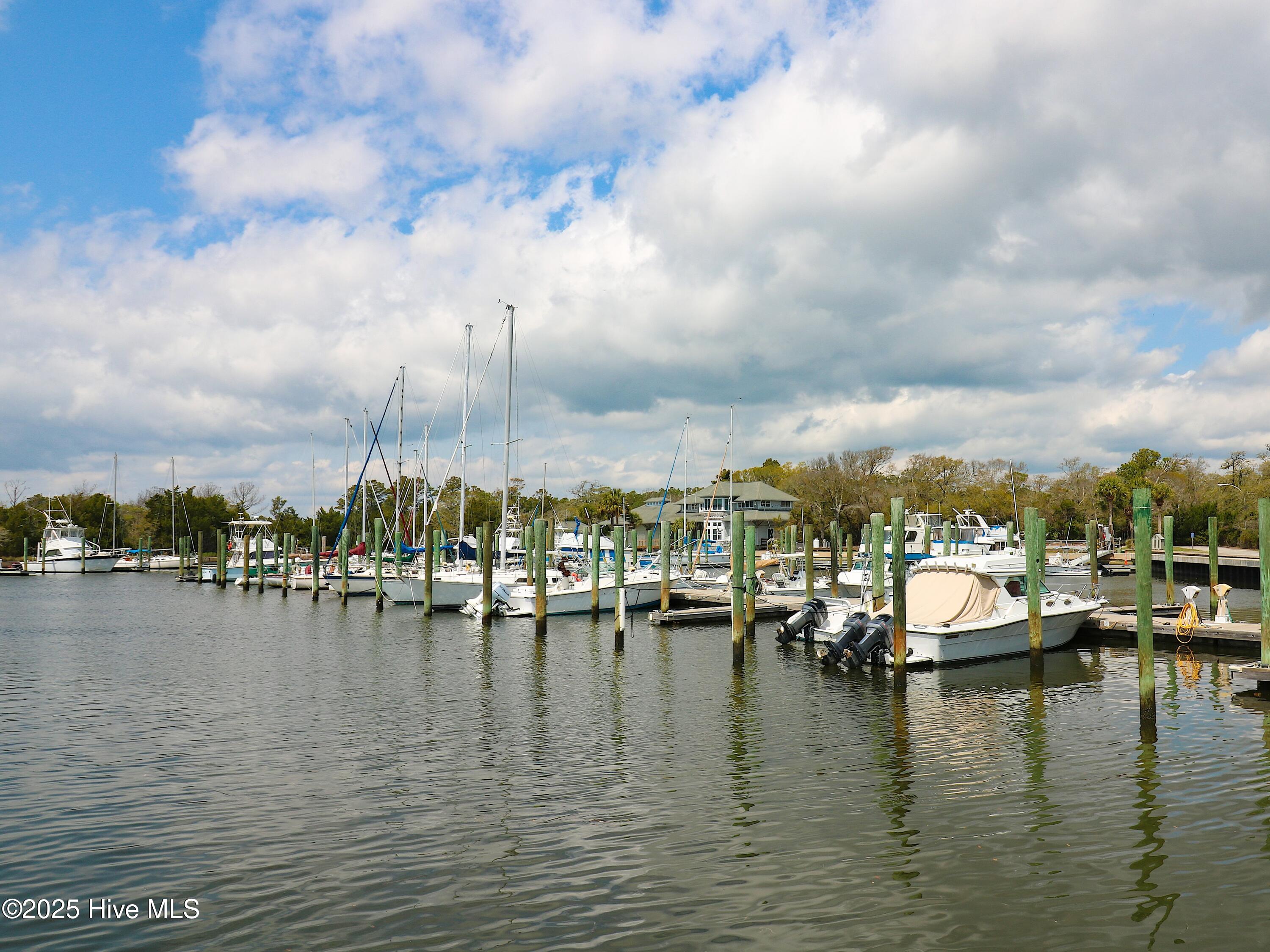 100504796 | Photo 82