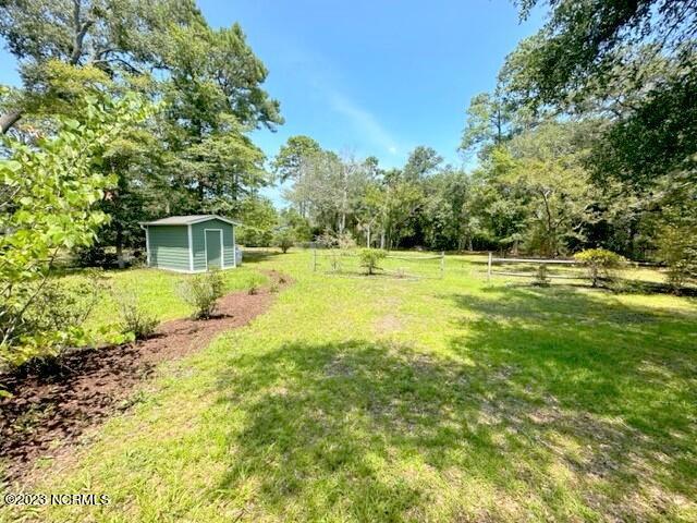 100539955 | Photo 13