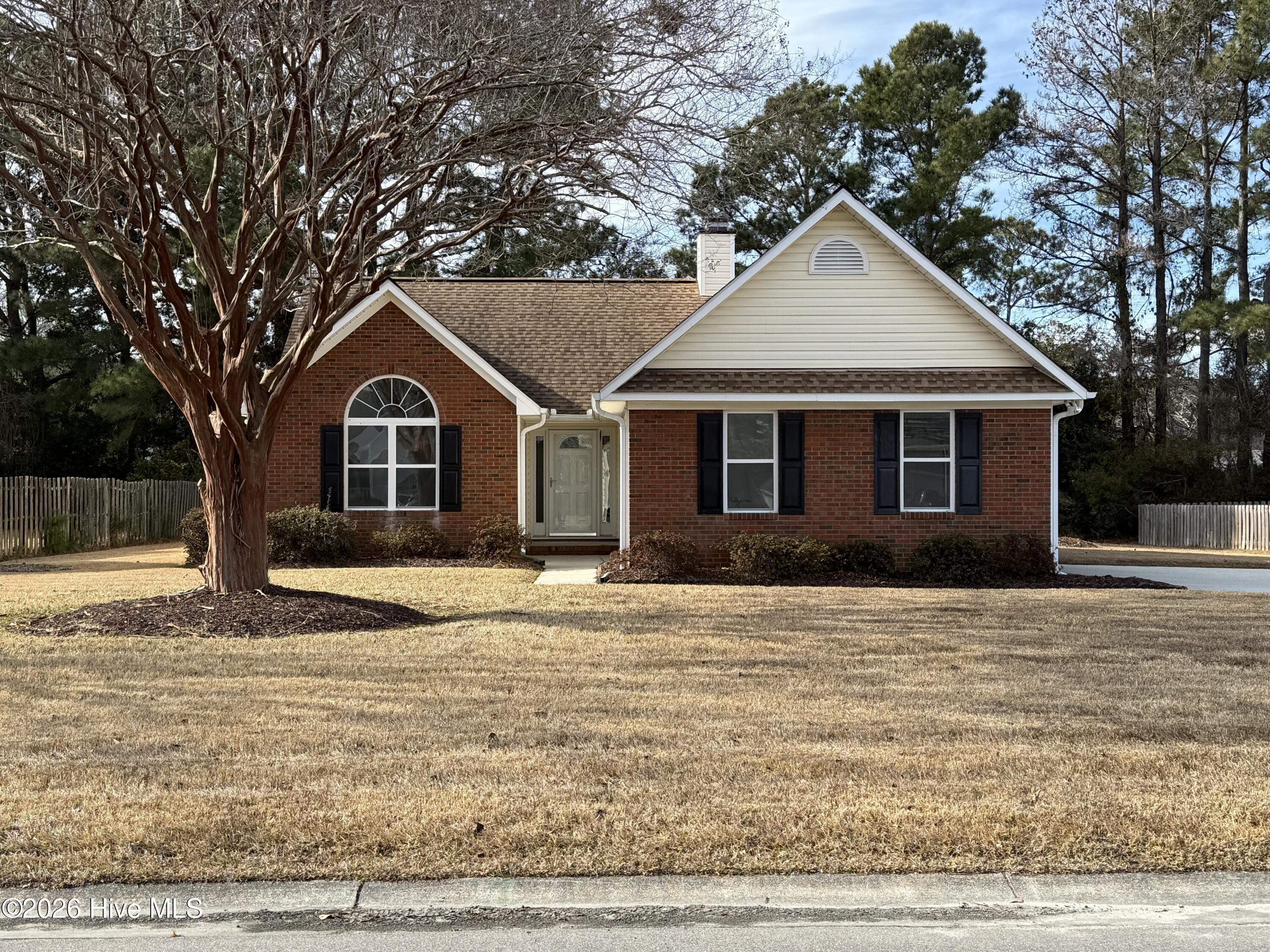 100548851 | Photo 26