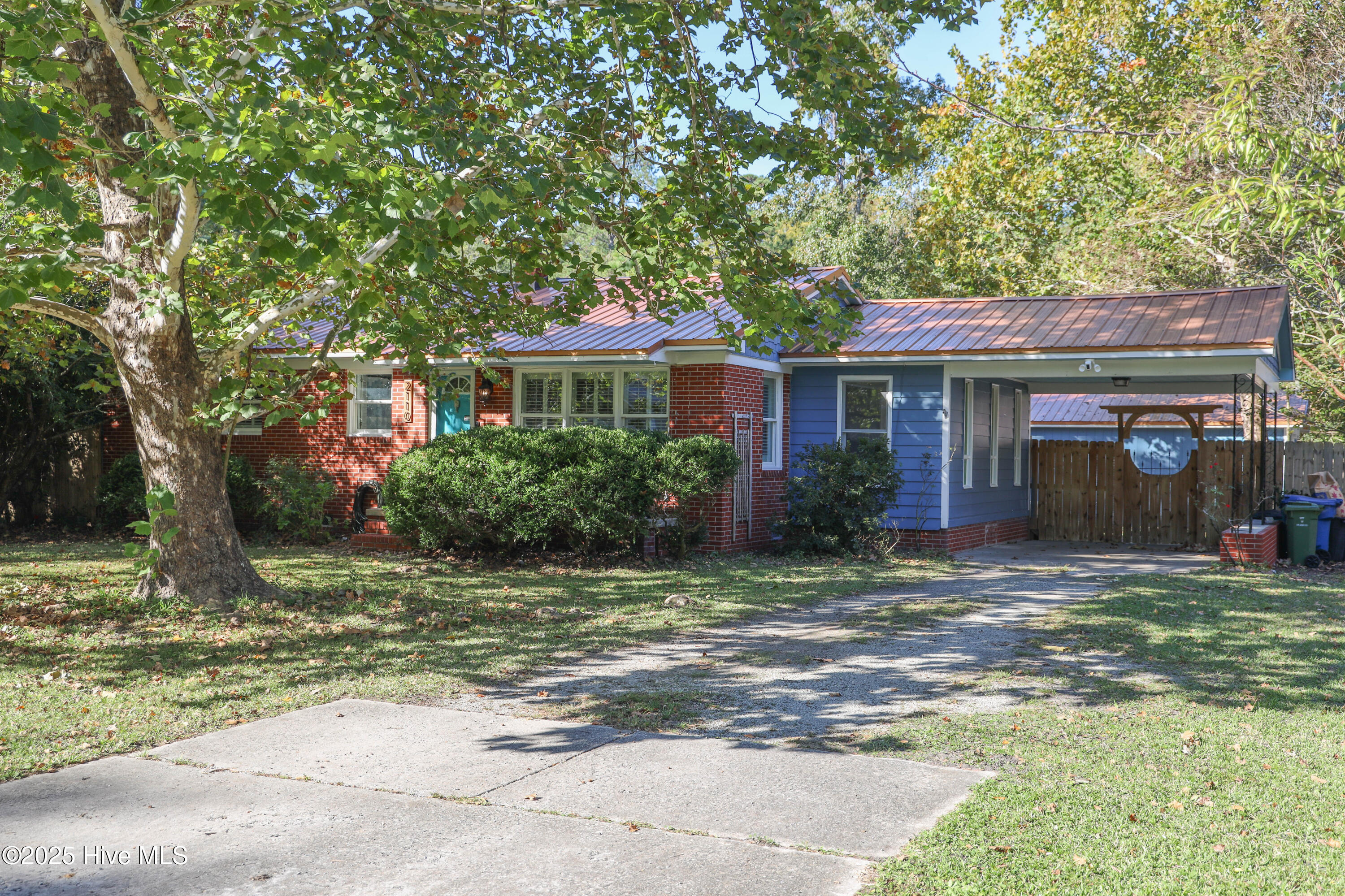 100537869 | Photo 65