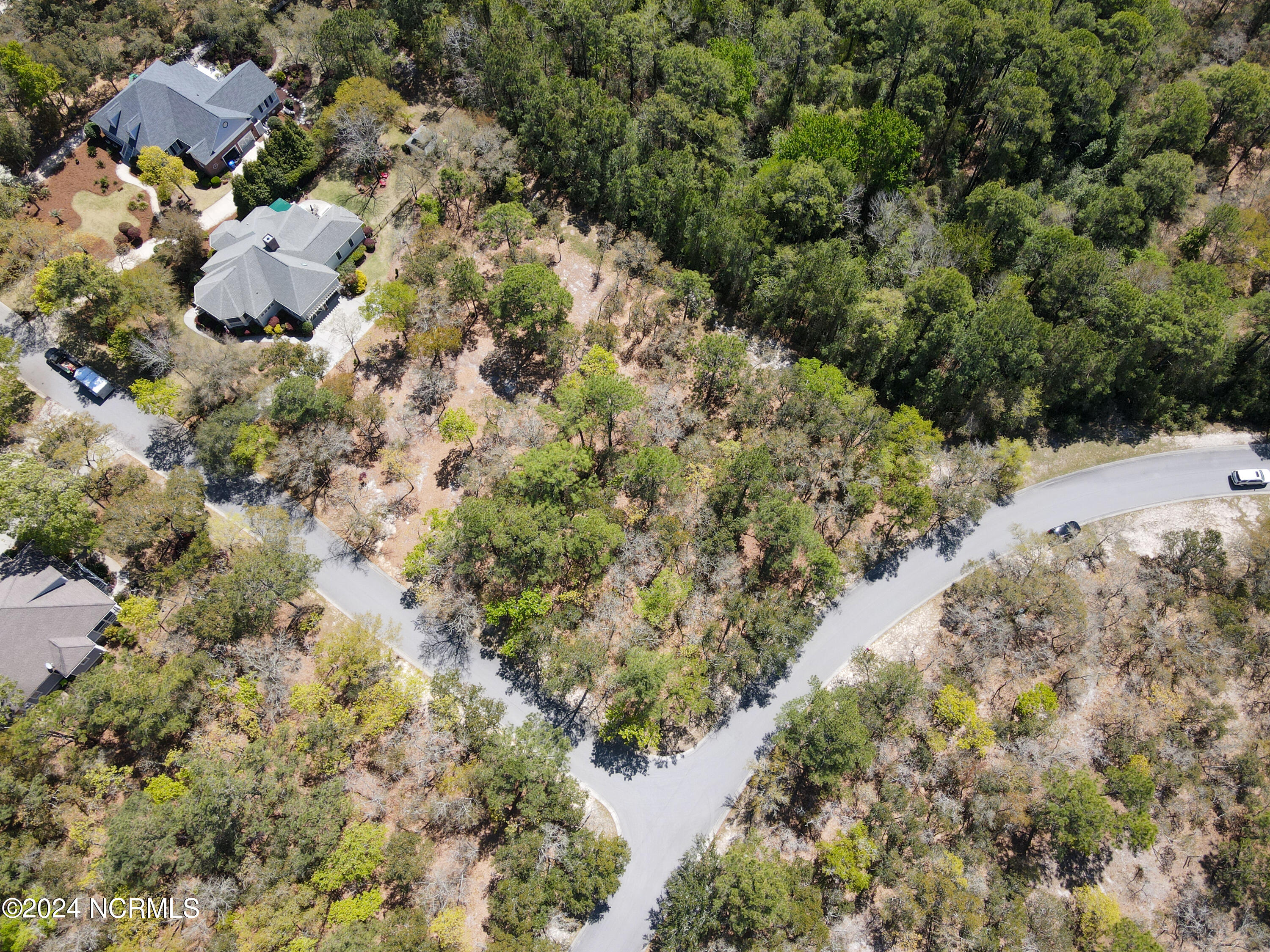 100437832 | Photo 14