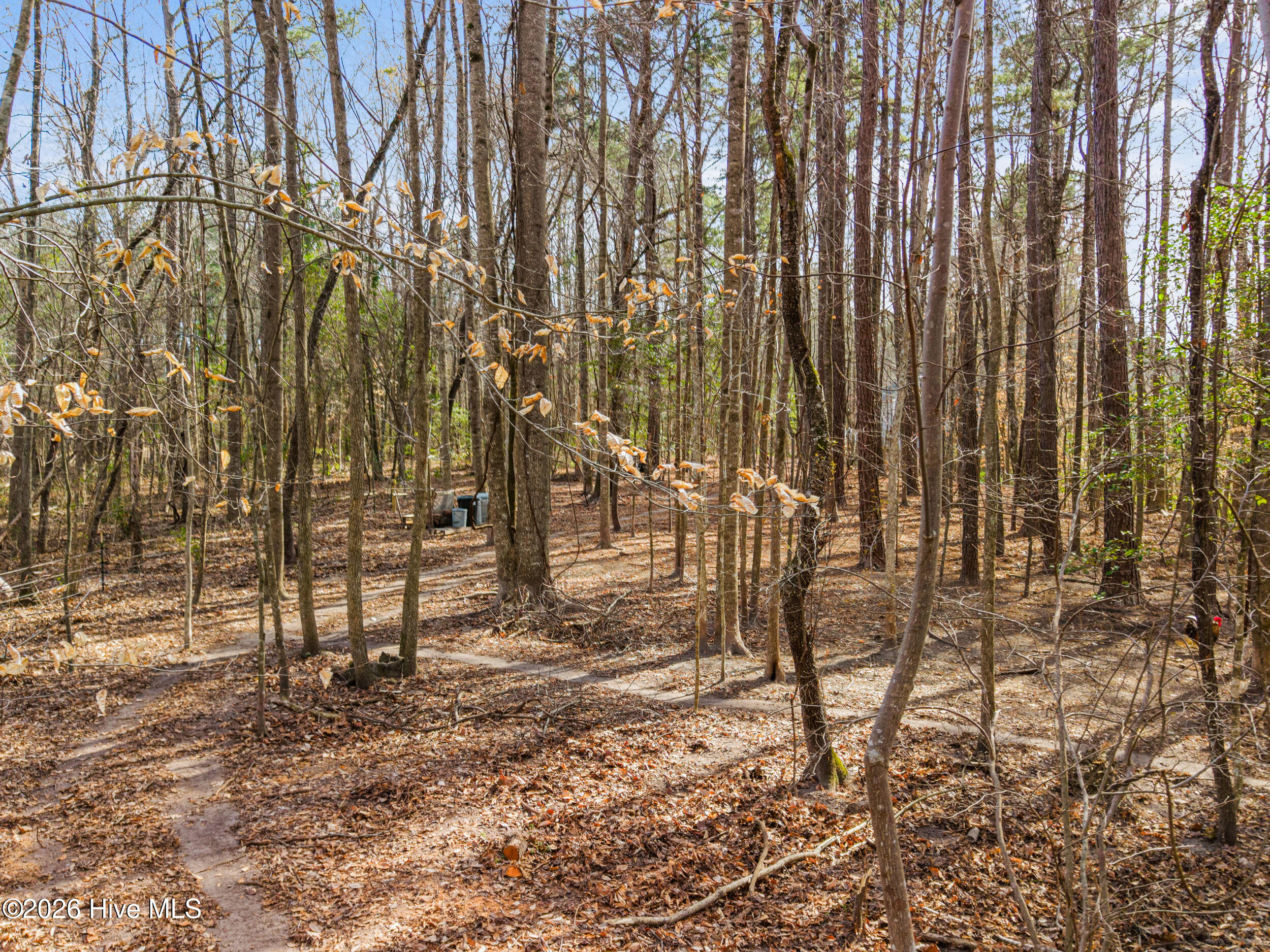 100558735 | Photo 65