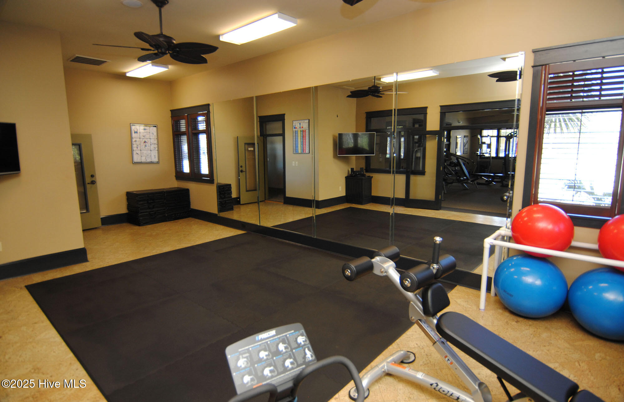 100536723 | Photo 58