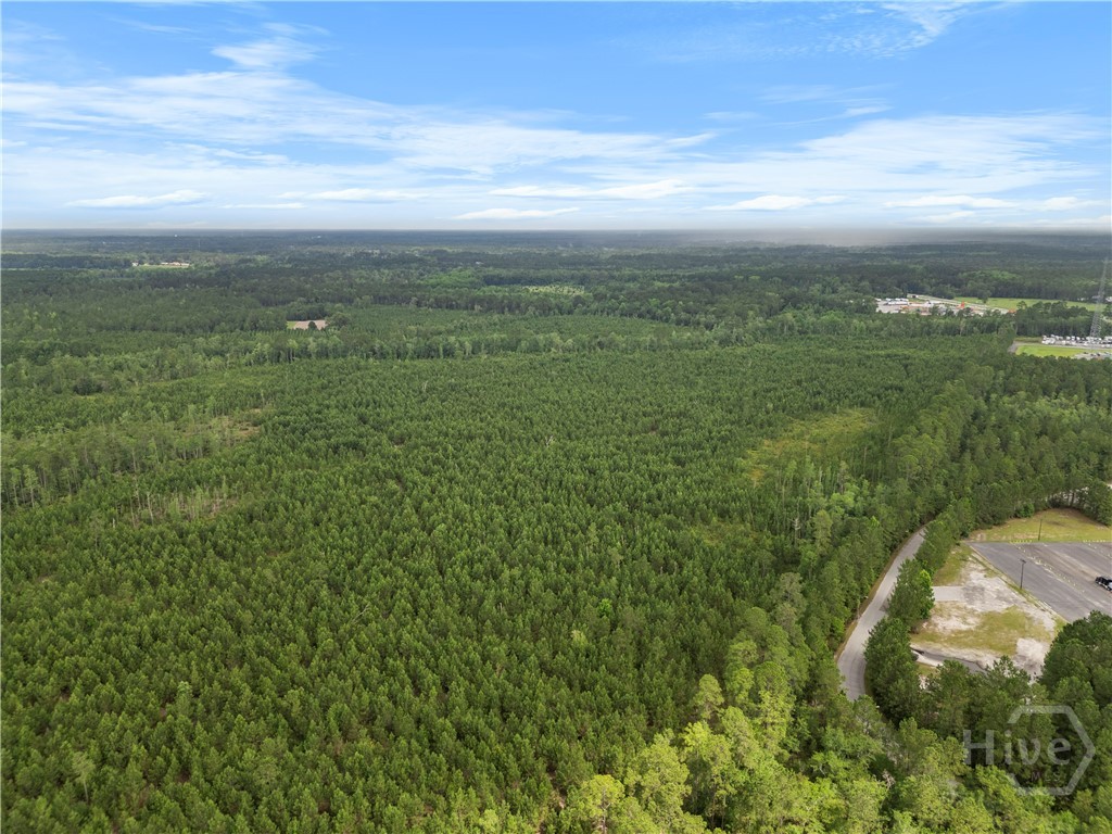 0 Rahn Station Road, Rincon, GA, 31326