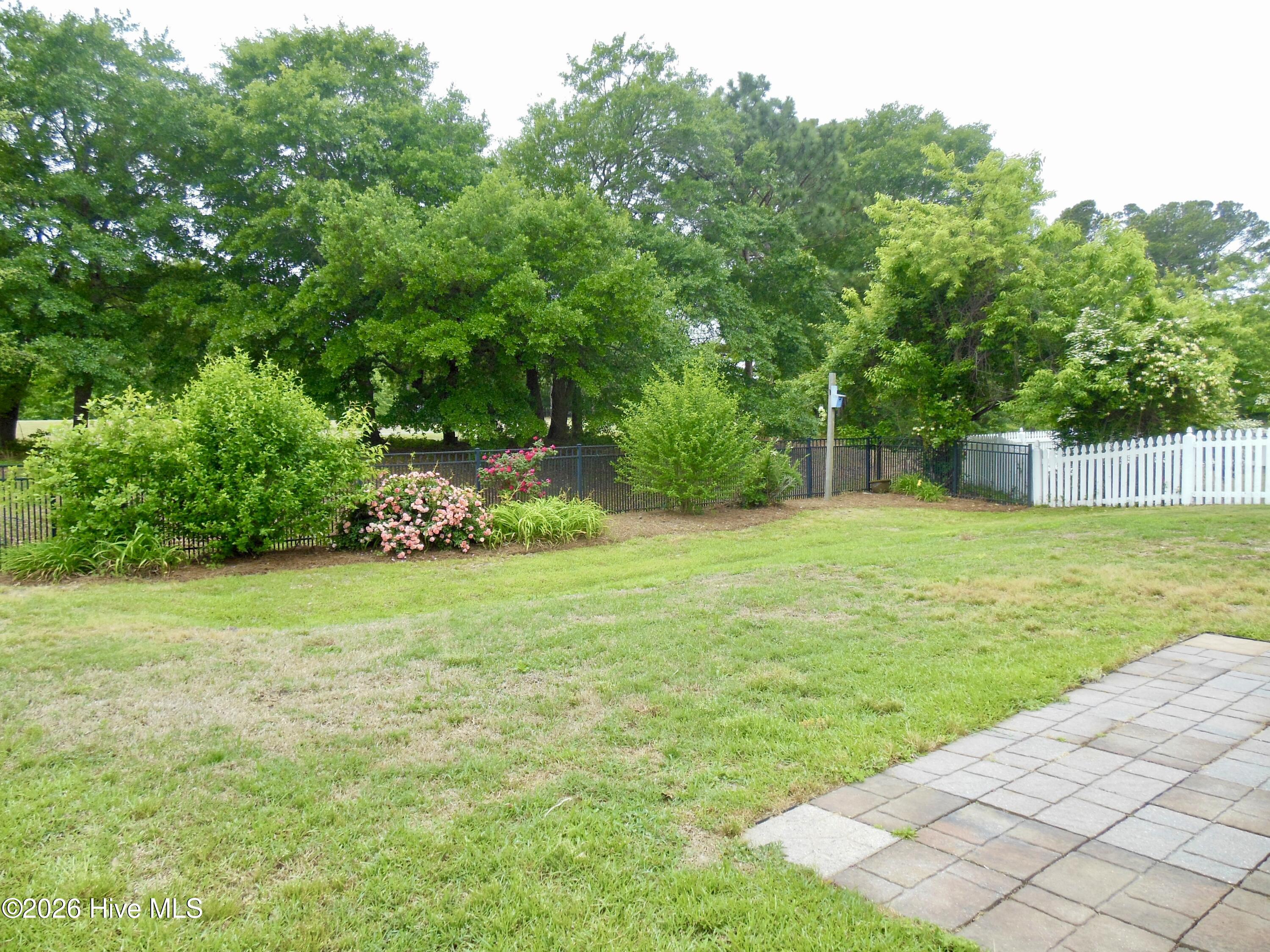 100570032 | Photo 26