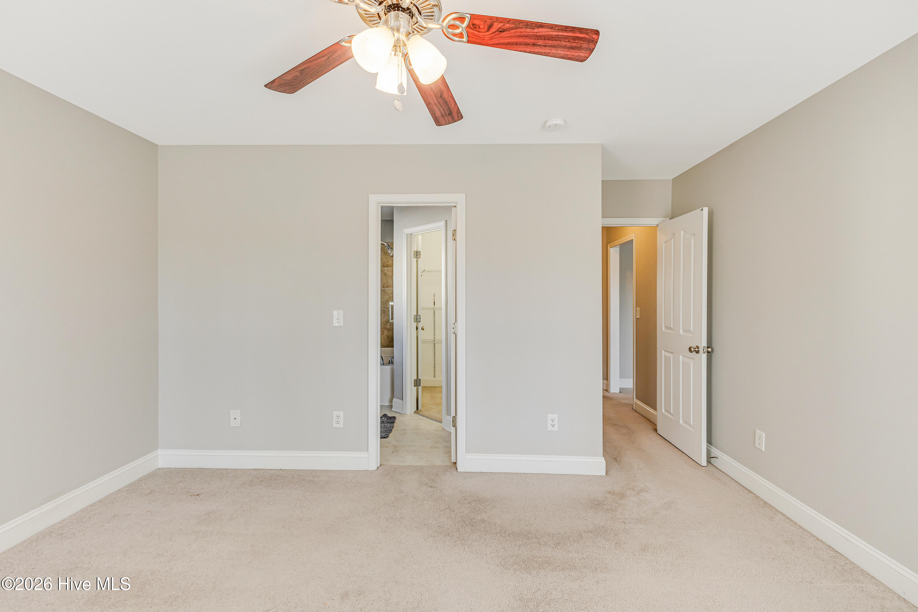 100559243 | Photo 17