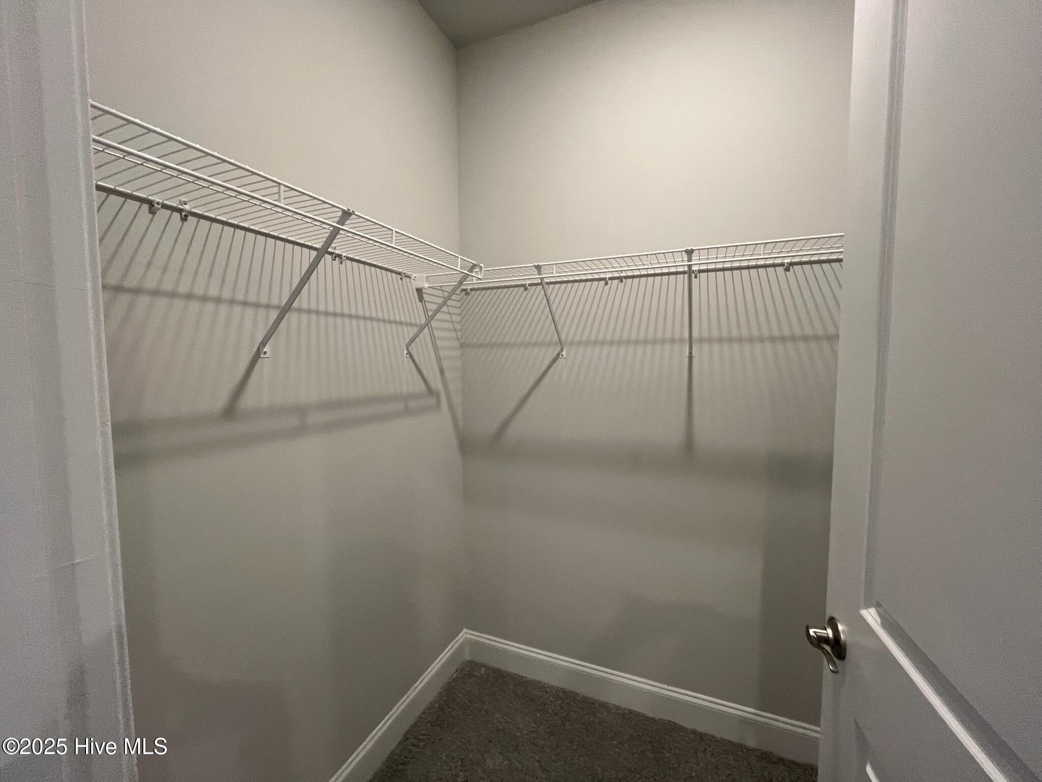 100531849 | Photo 21