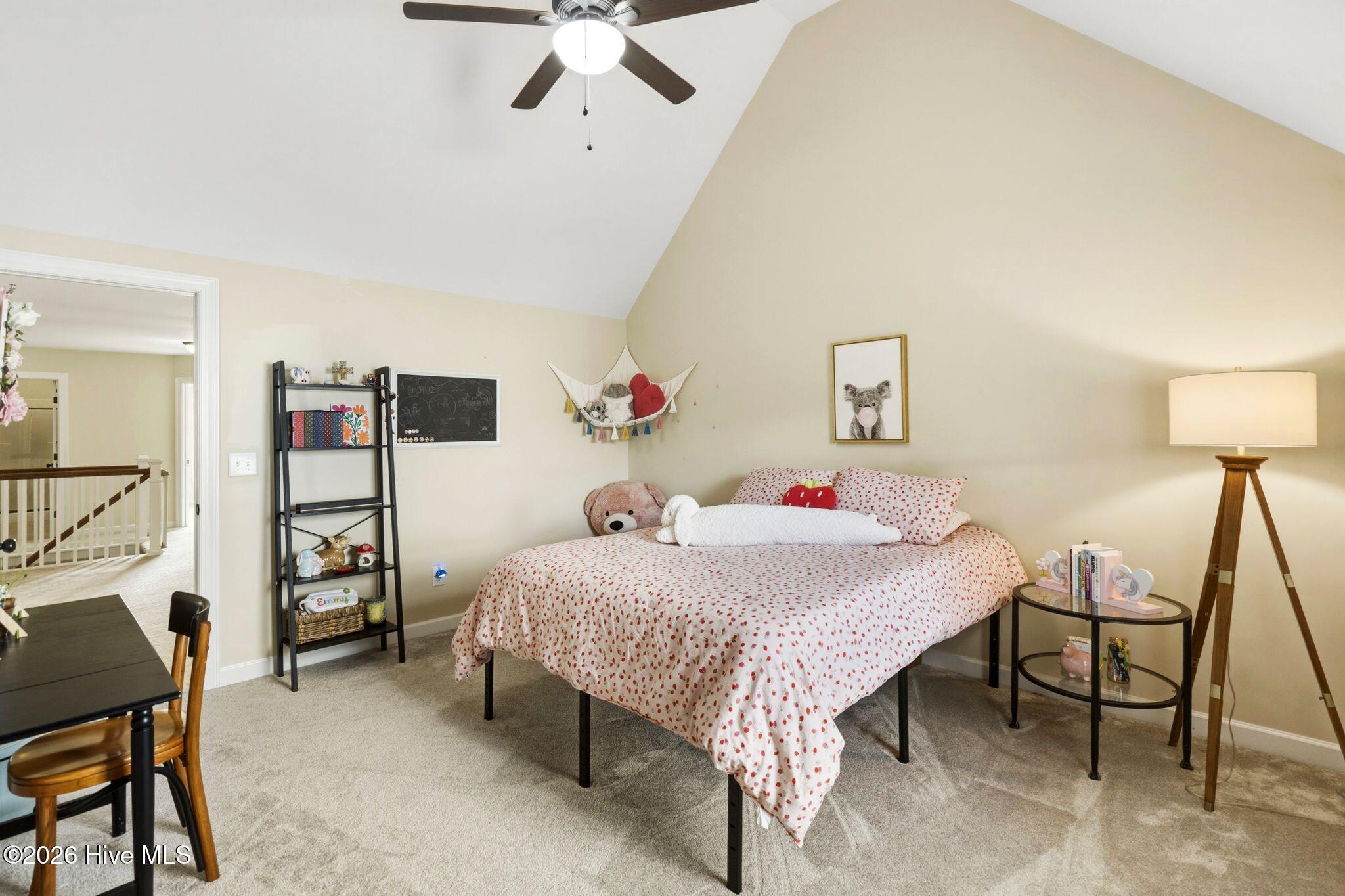 100562110 | Photo 45