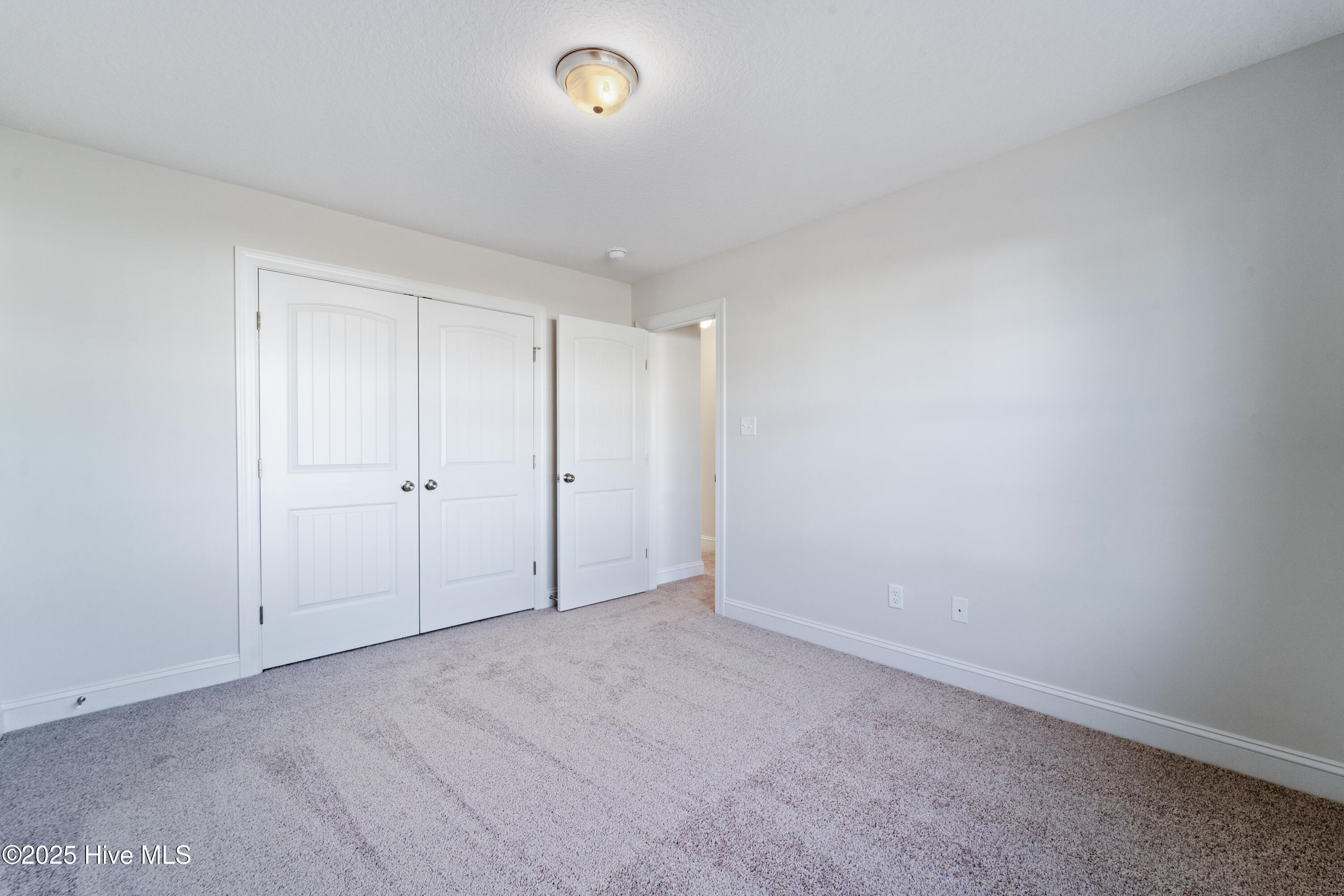 100514774 | Photo 17