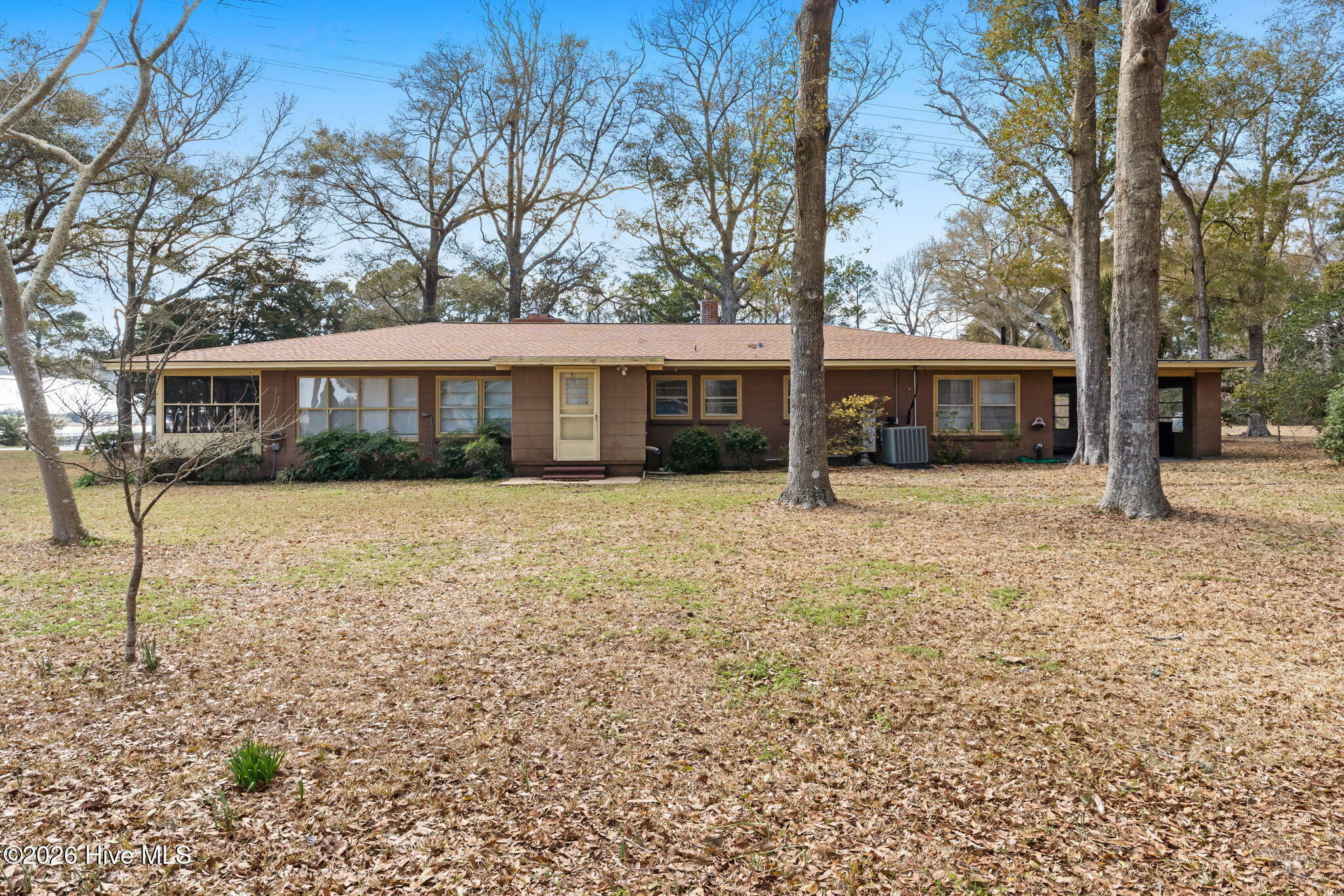 100561810 | Photo 62