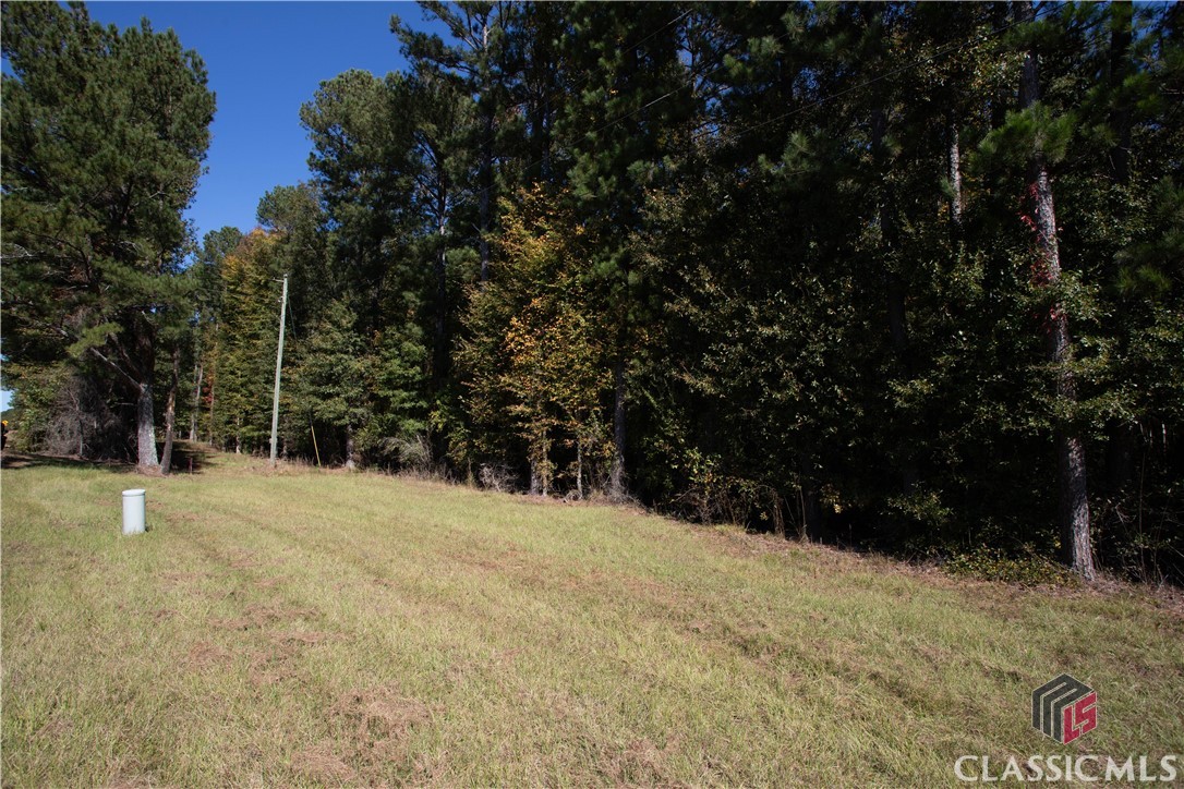 Homes for sale in Watkinsville, GA | Lot D Salem Rd, Watkinsville, GA 30677 | MLS# CM1025798