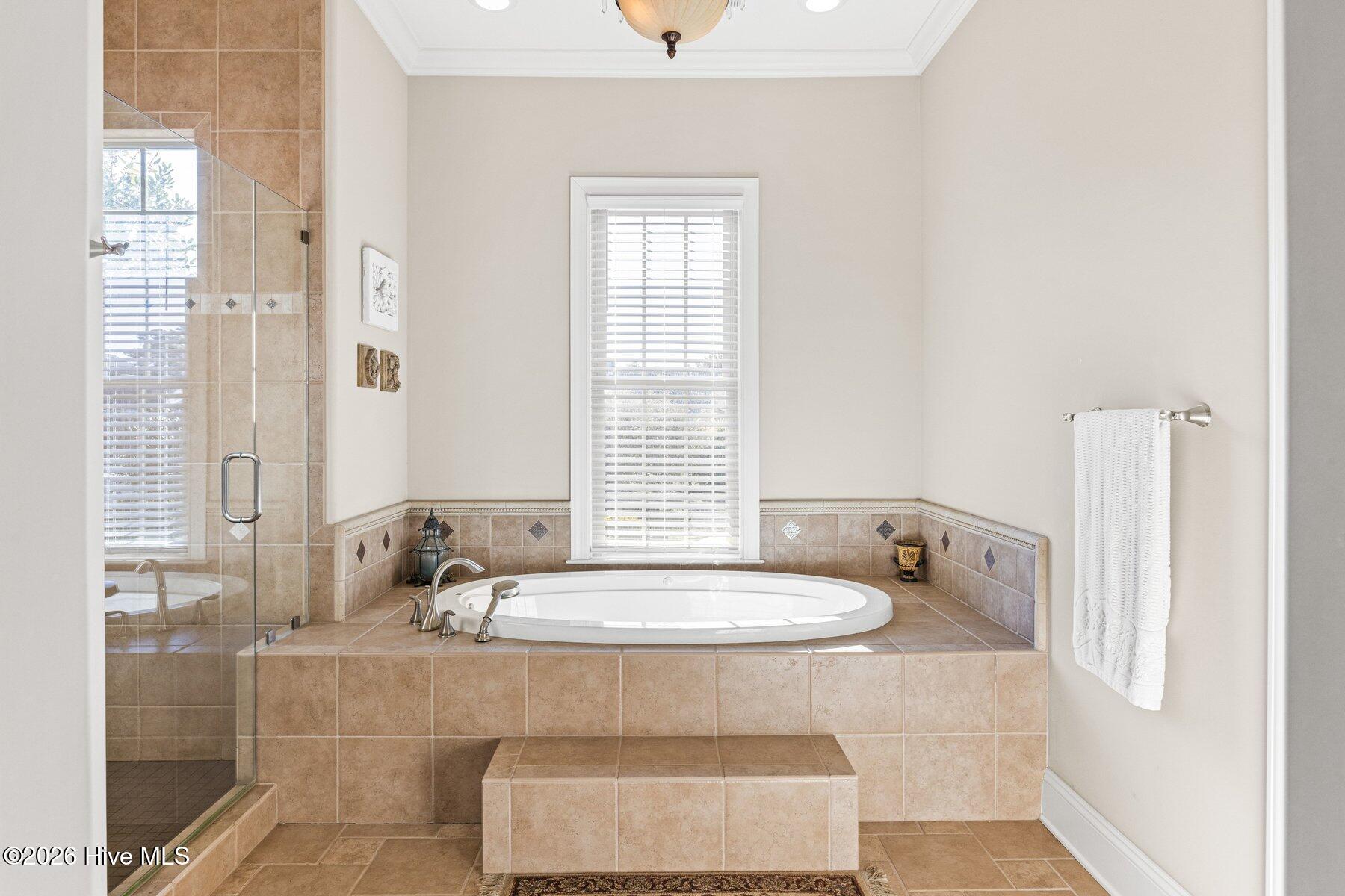 100555676 | Photo 31