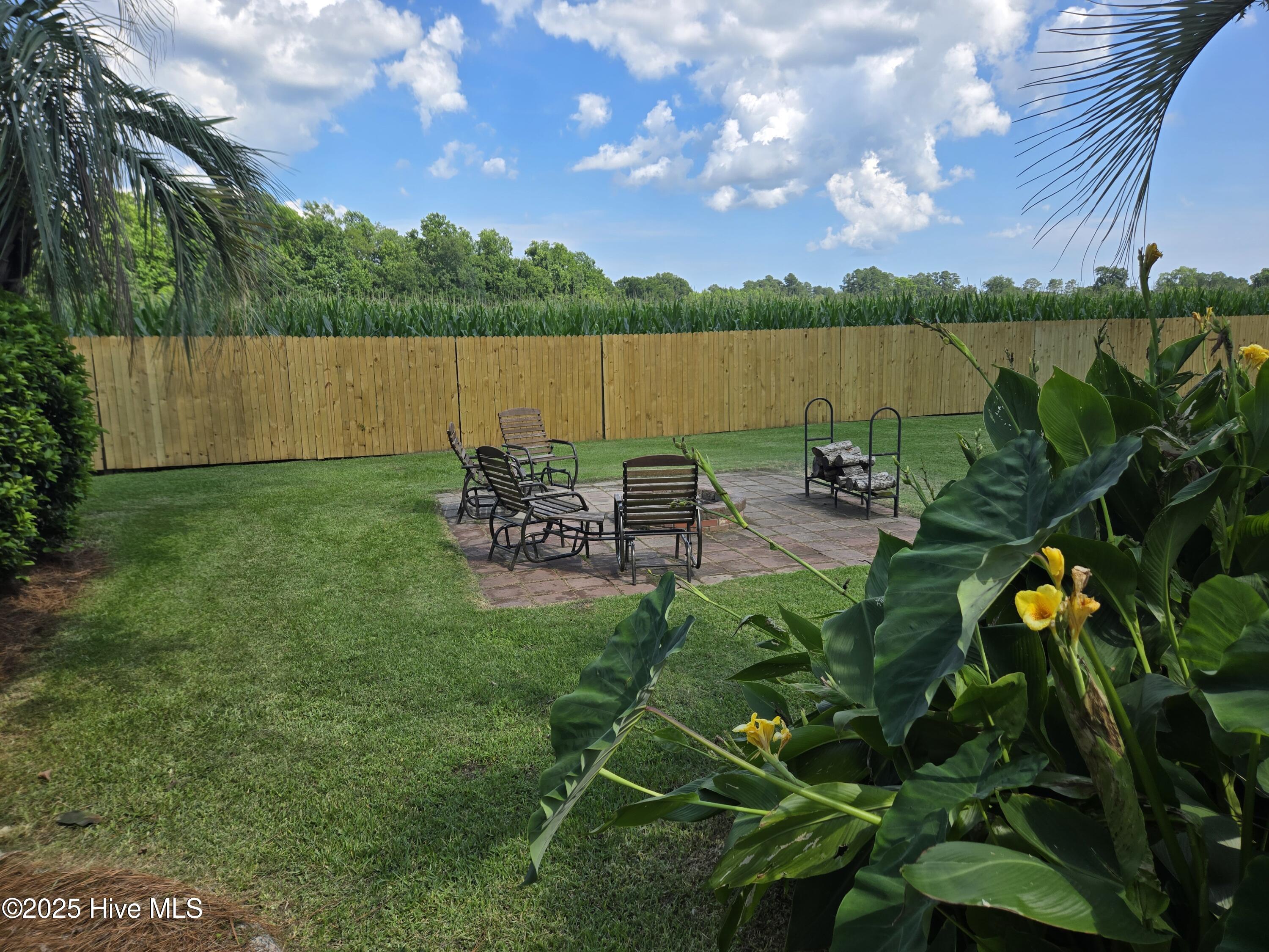 100517871 | Photo 37