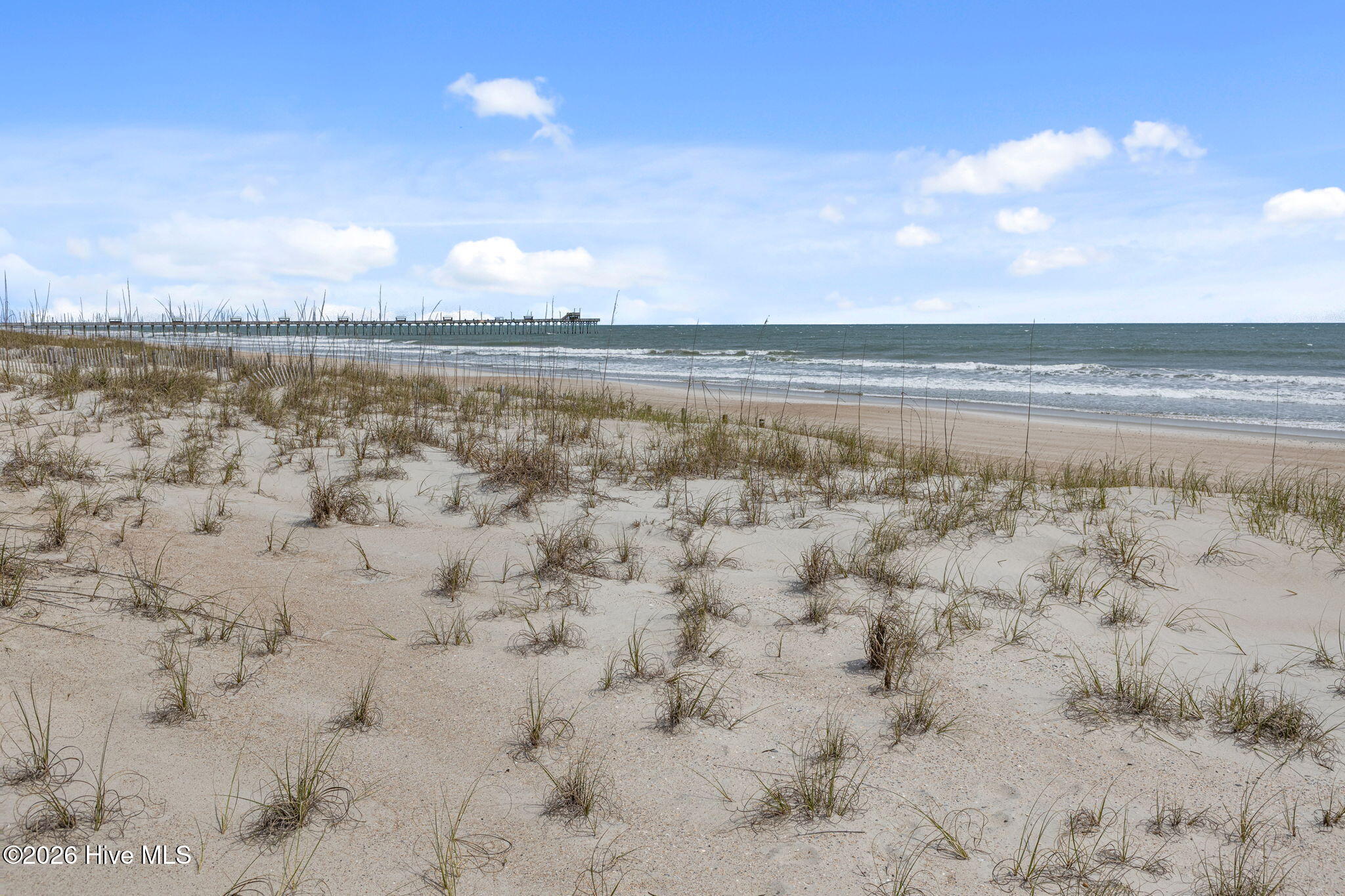 100564896 | Photo 25