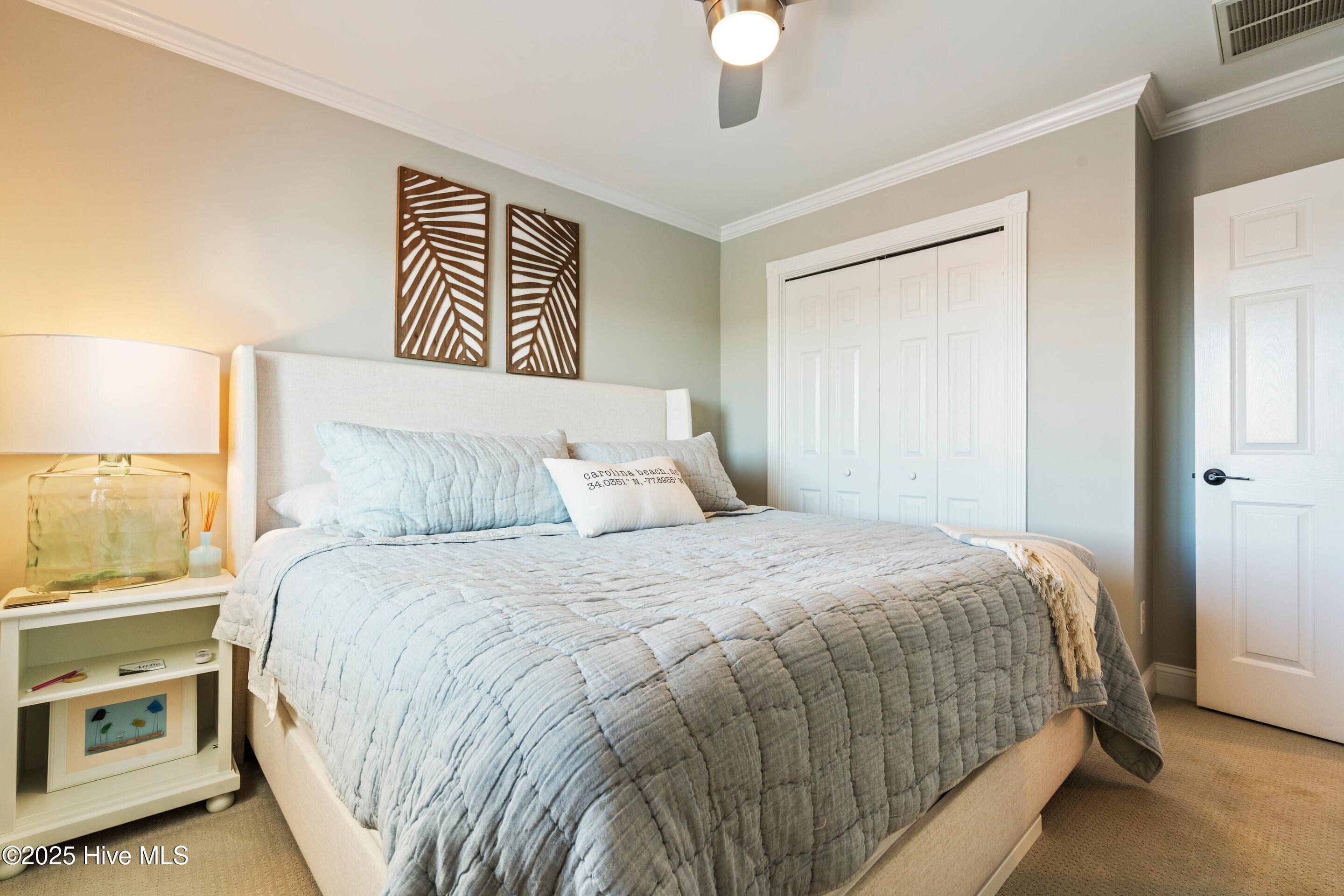 100545192 | Photo 44