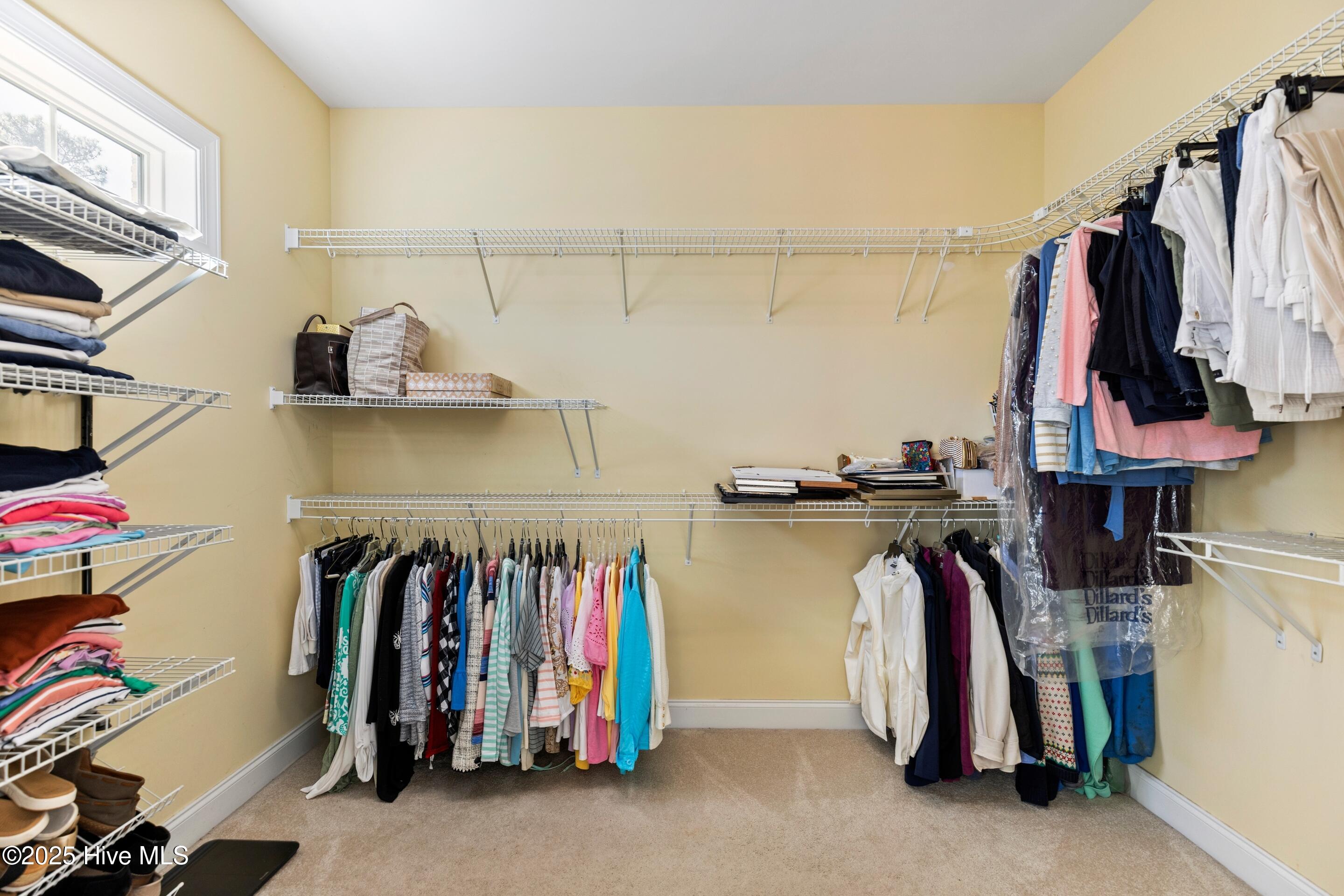 100538376 | Photo 34