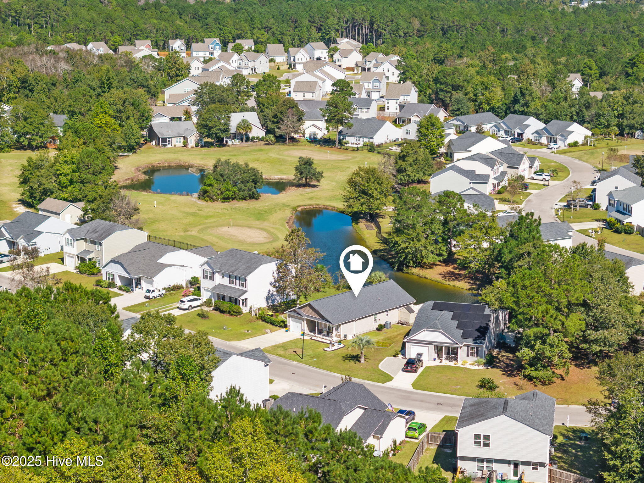 100536893 | Photo 40