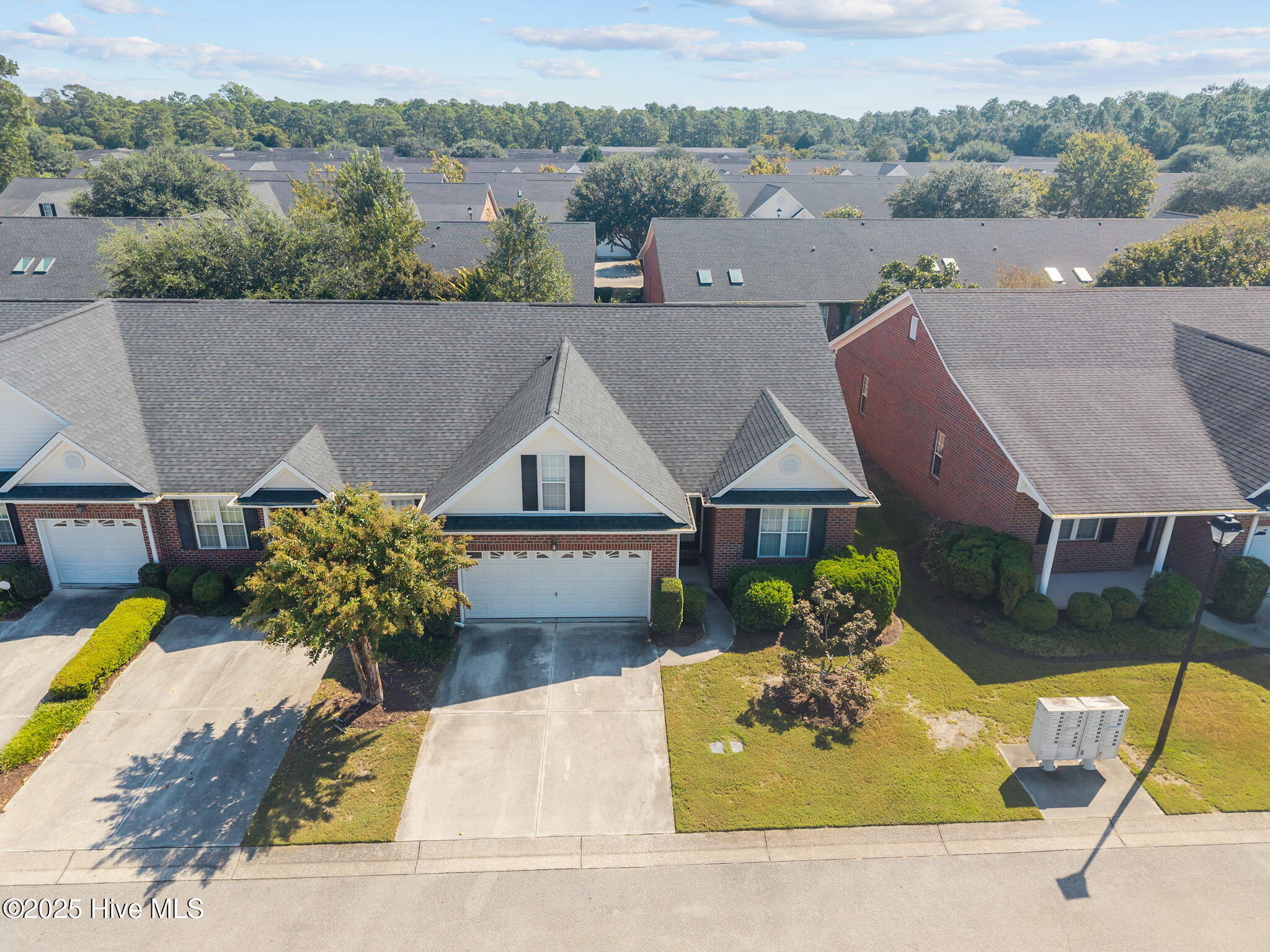 100532980 | Photo 41