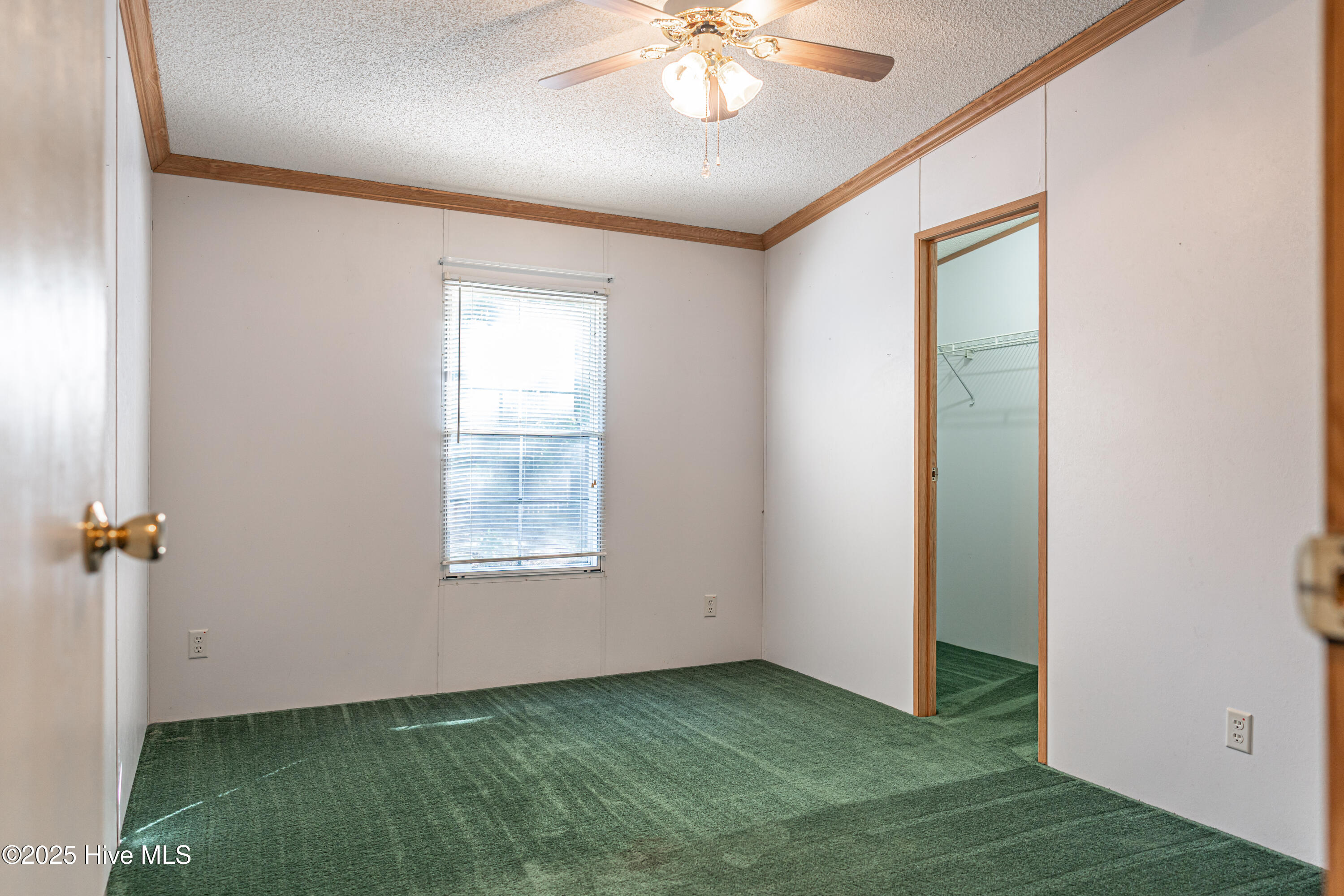113 Holly Place