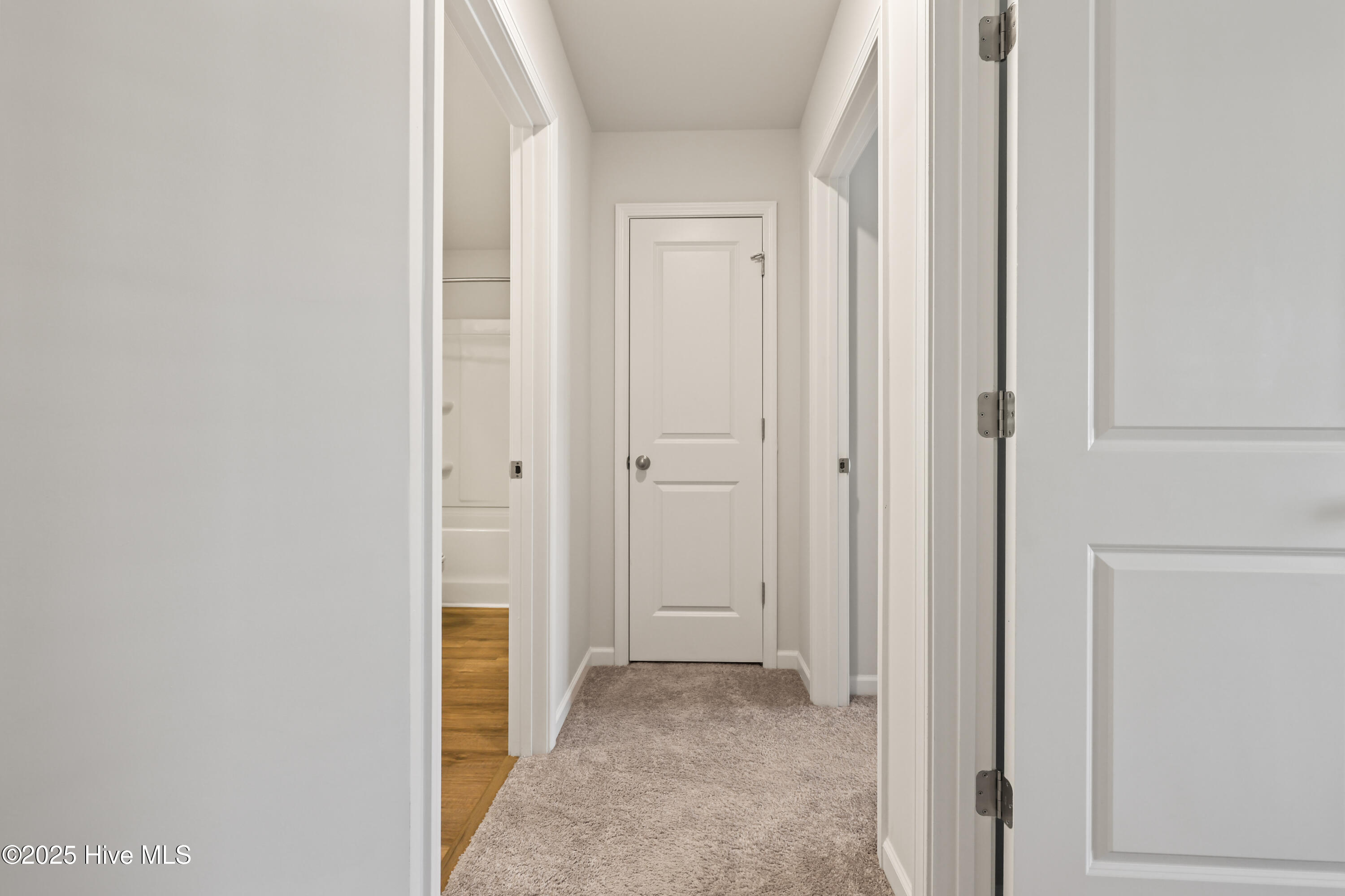 100546543 | Photo 32