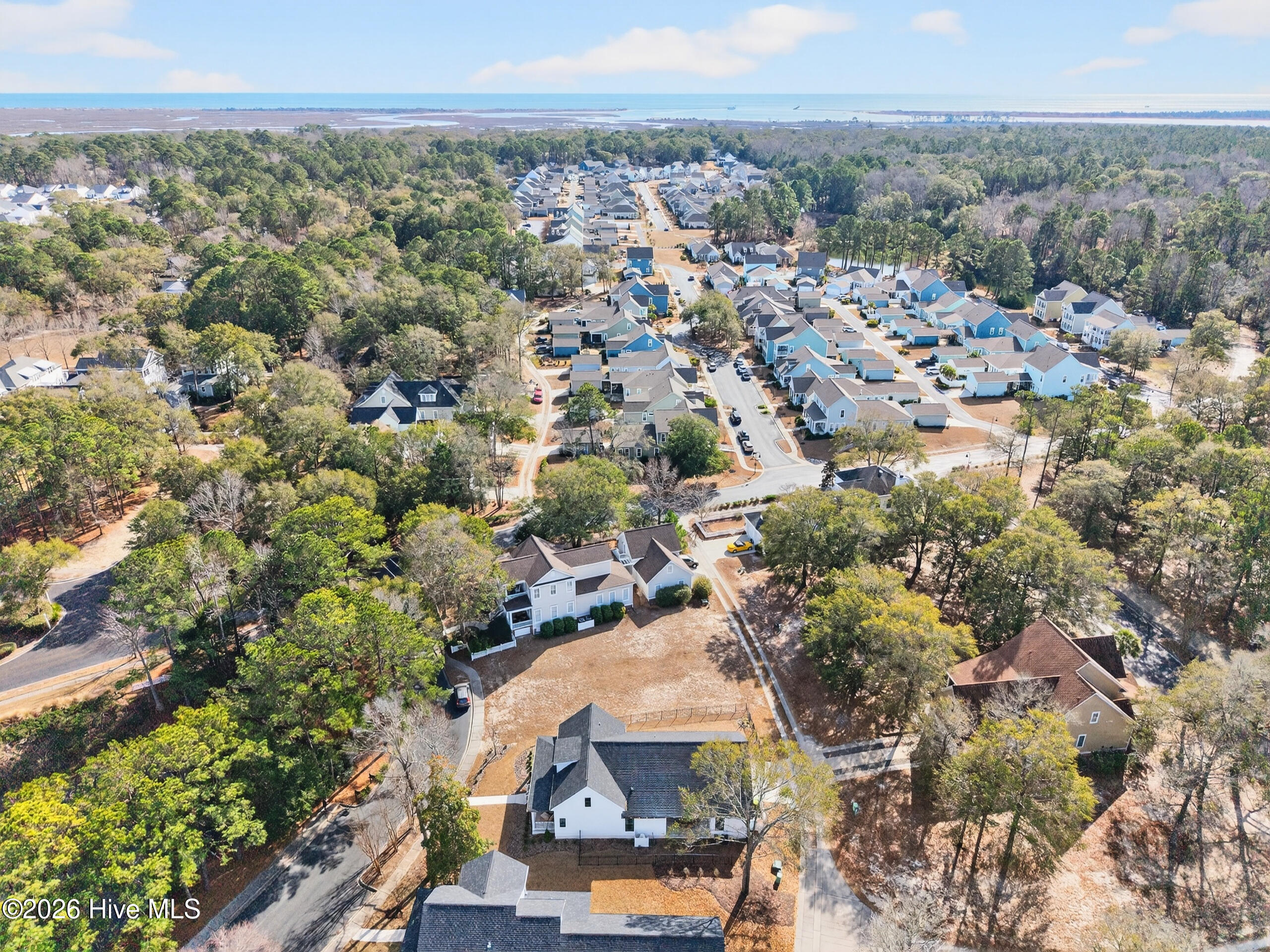 100546436 | Photo 64