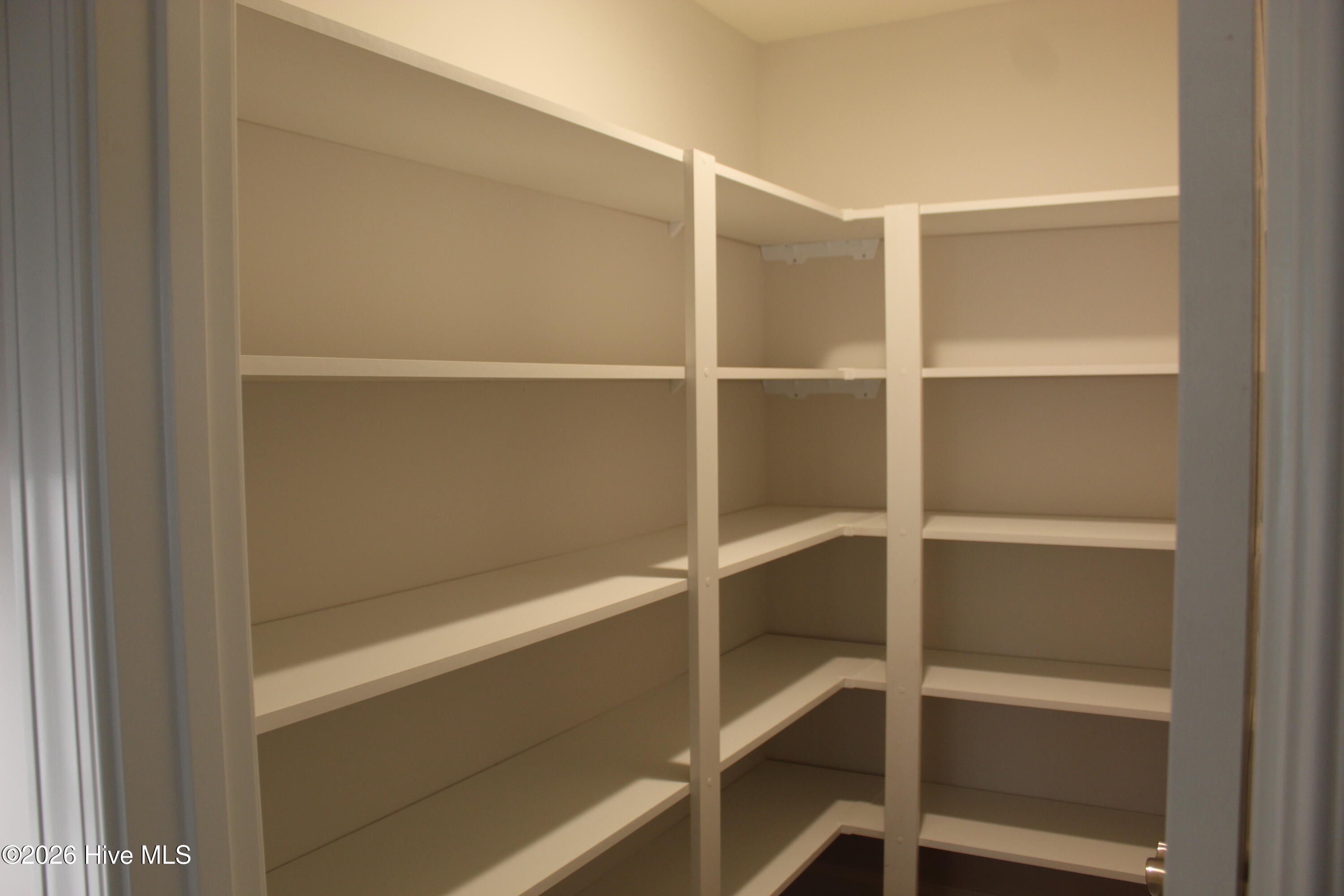 100536128 | Photo 18