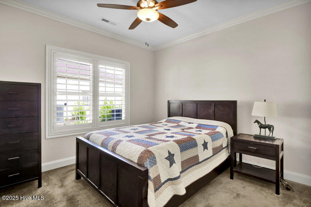 100507086 | Photo 23