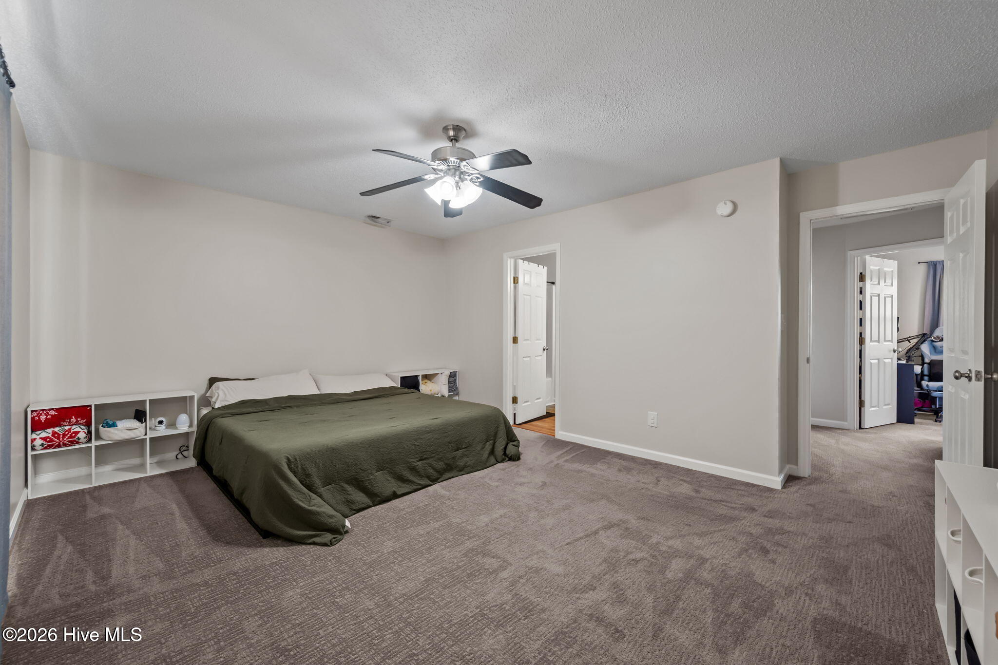 100561197 | Photo 33