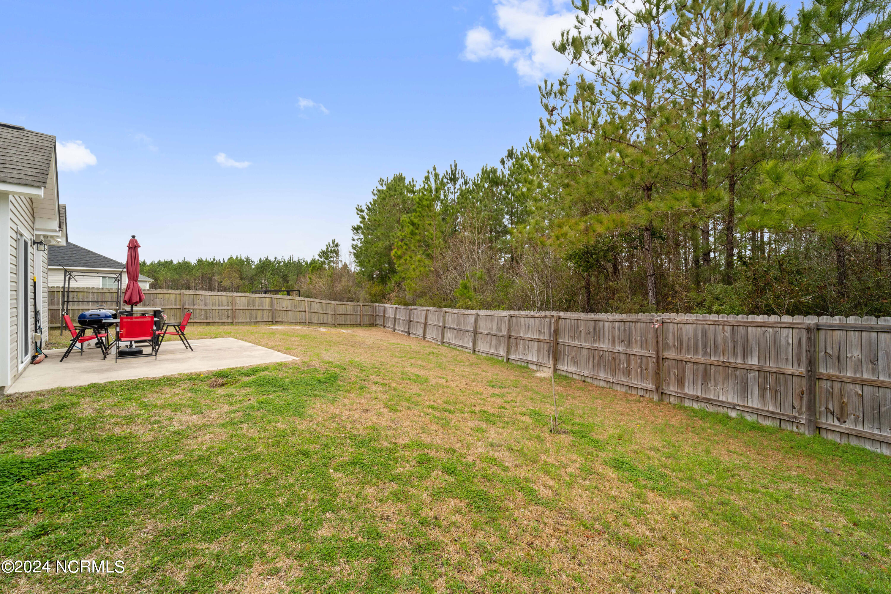 318 Old Snap Dragon Court, Jacksonville, NC, 28546