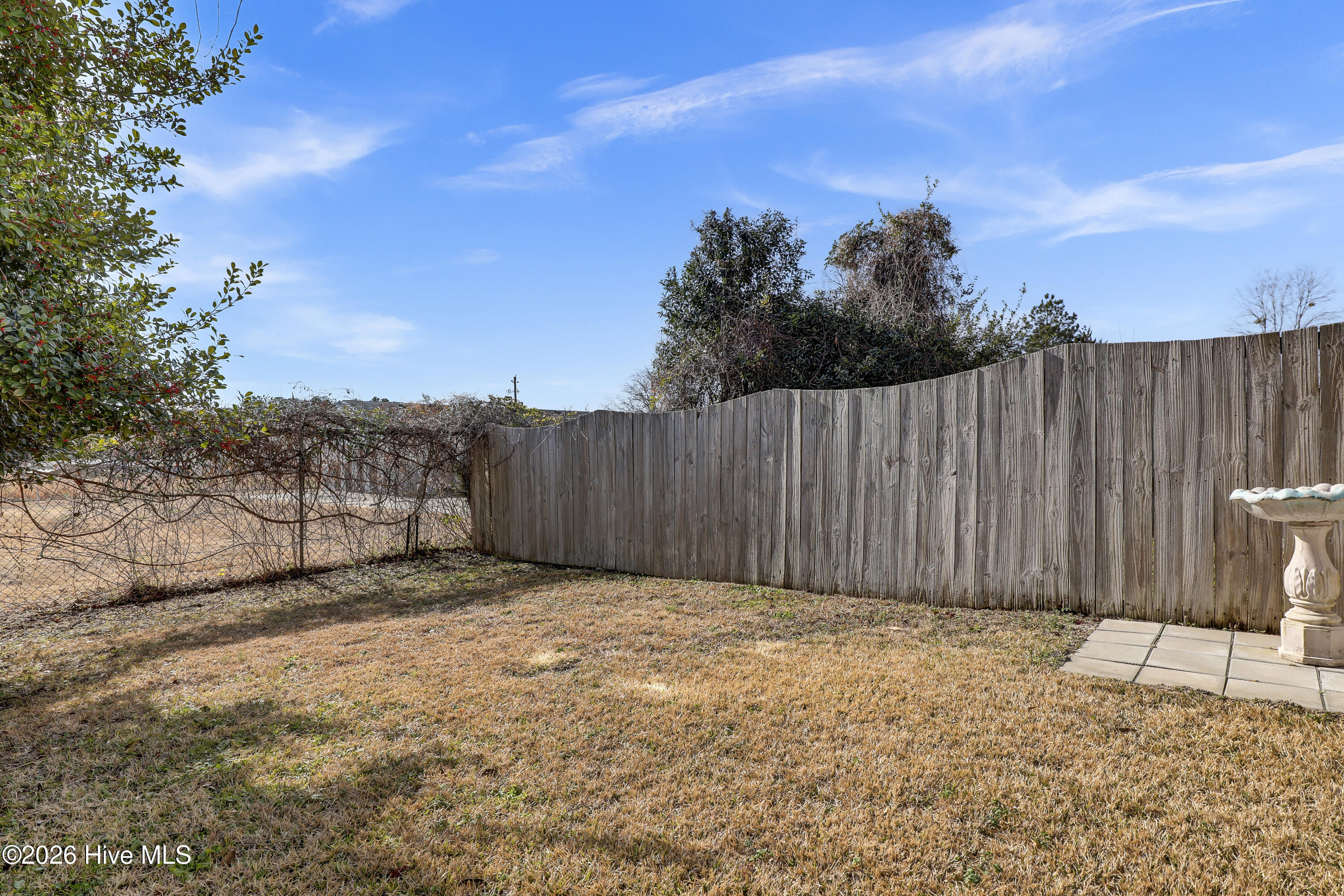 100546839 | Photo 18