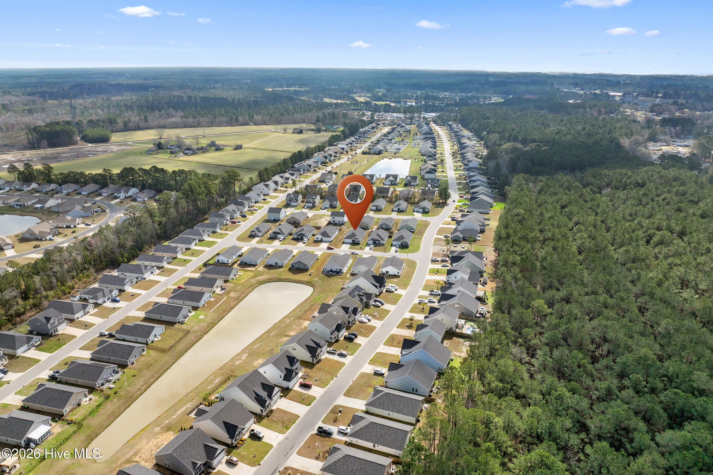 100559429 | Photo 36