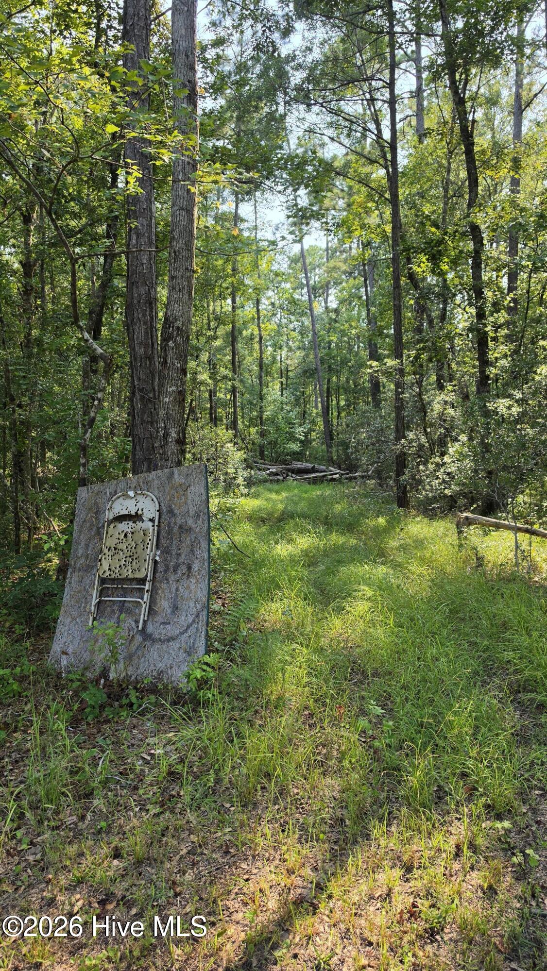 347 Sandy Point Drive,Beaufort