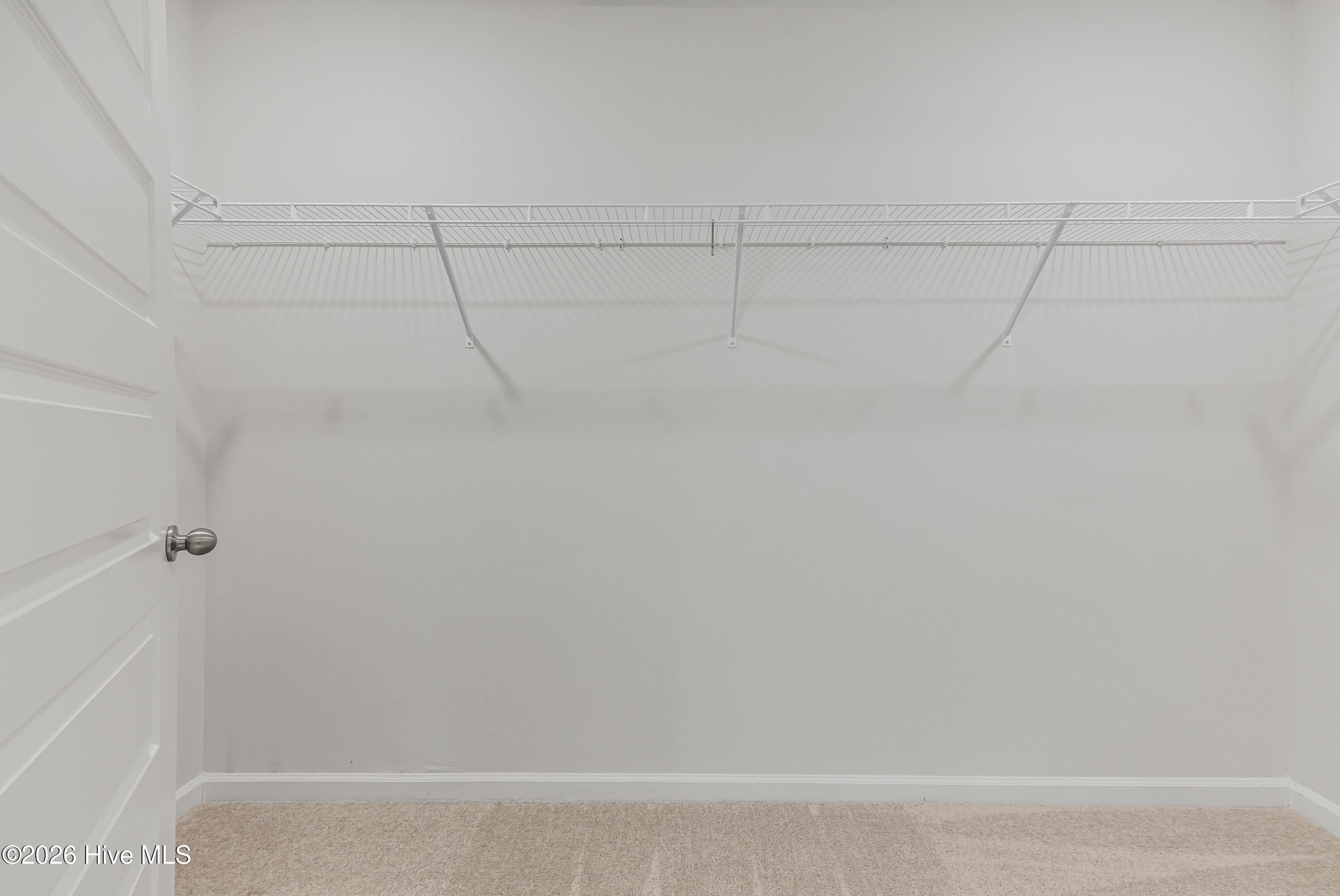 100561168 | Photo 19